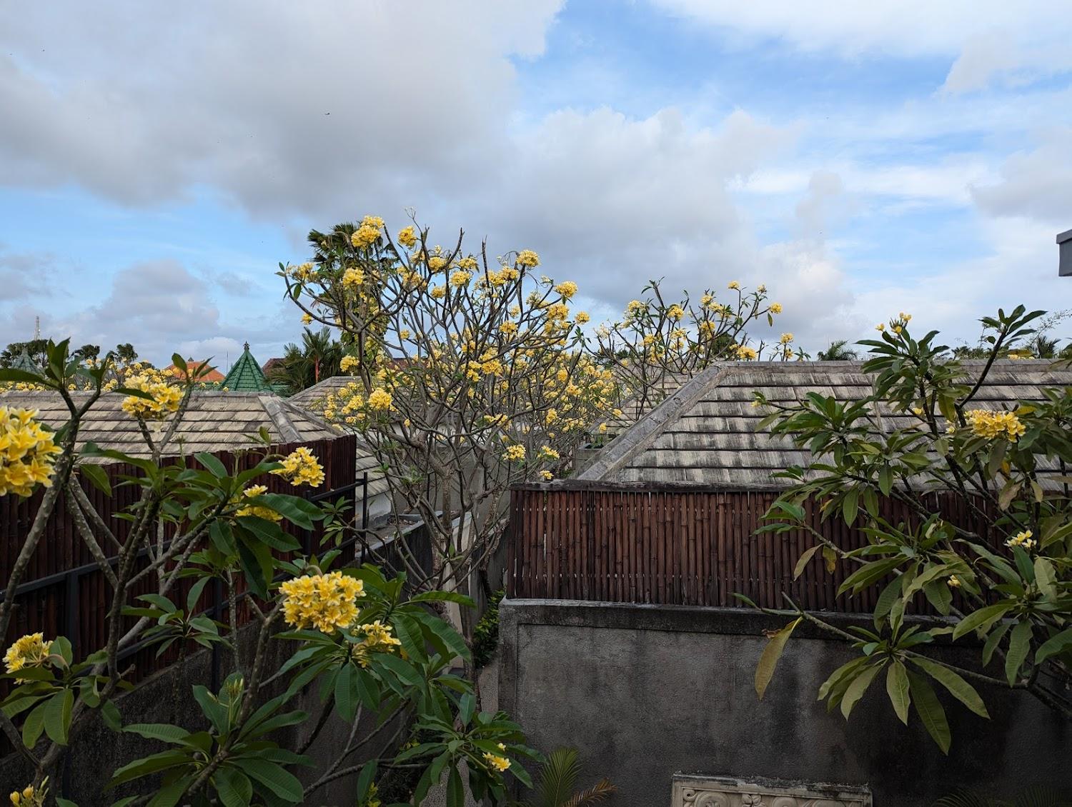 Cover Image for The Light Exclusive Villas & Spa