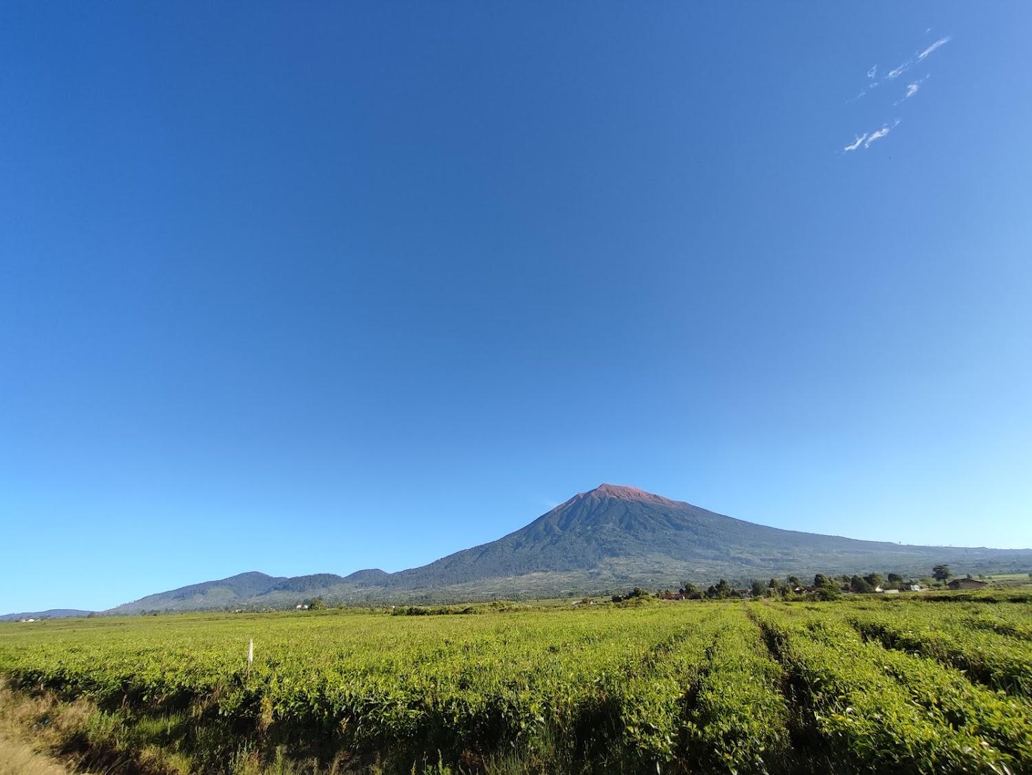Cover Image for BINTANG KERINCI HOTEL KAYU ARO