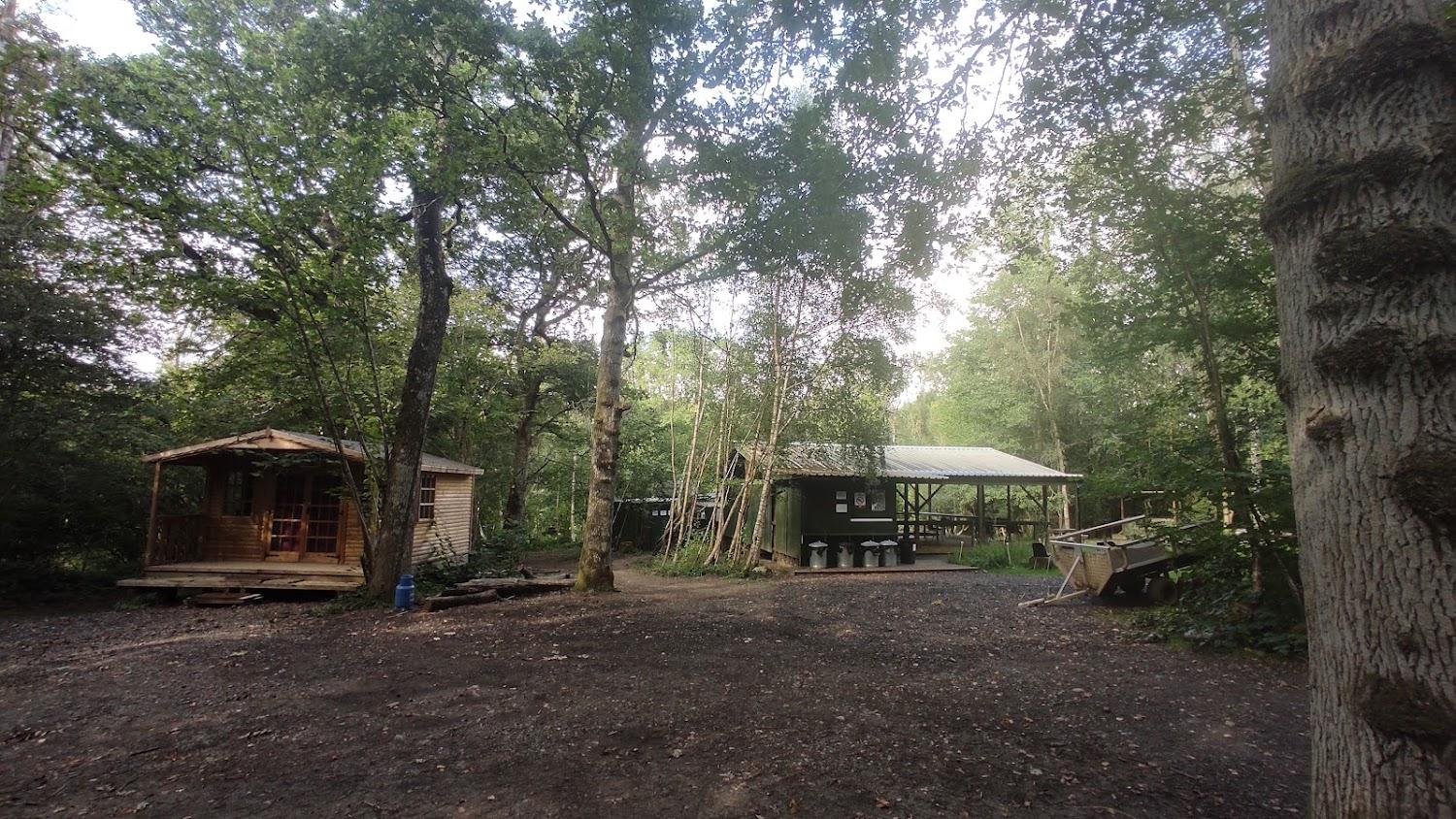 Cover Image for Strictly Camping