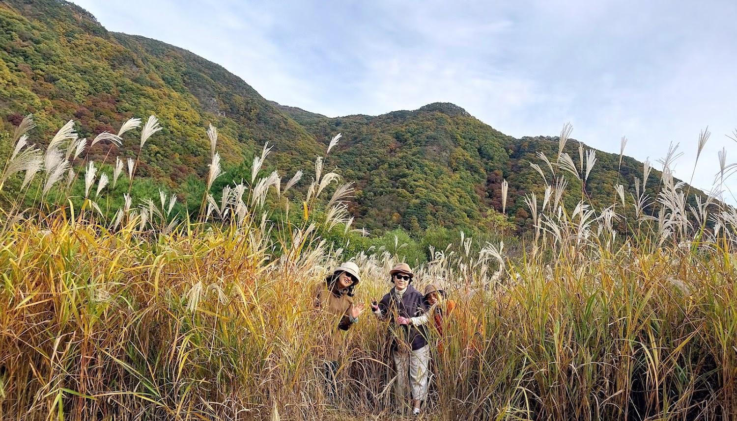 Cover Image for 산막이산장