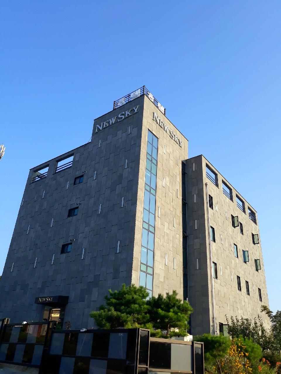 Cover Image for 뉴스카이호텔