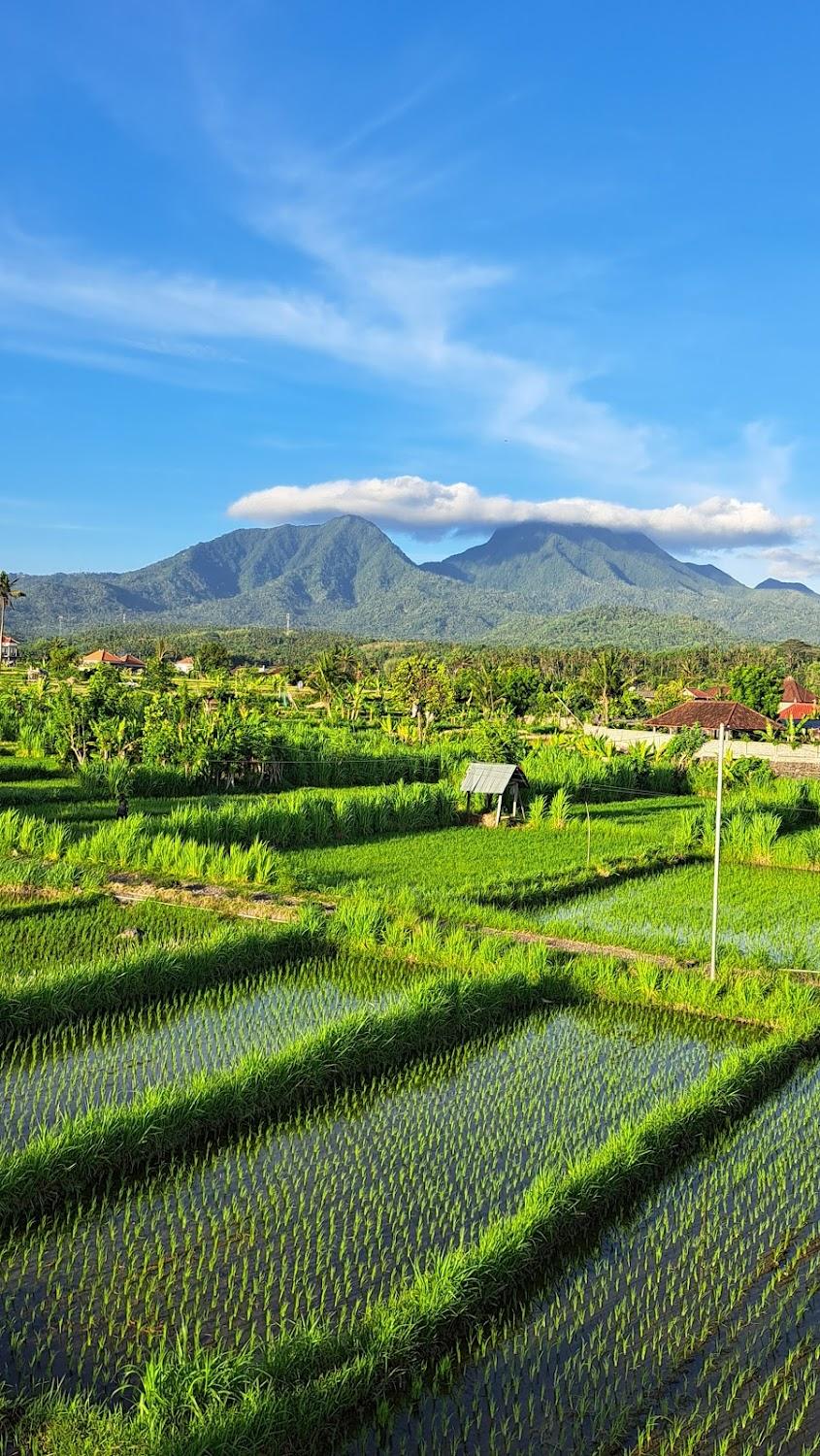 Cover Image for Villa limun en Limun Guesthouse and restaurant