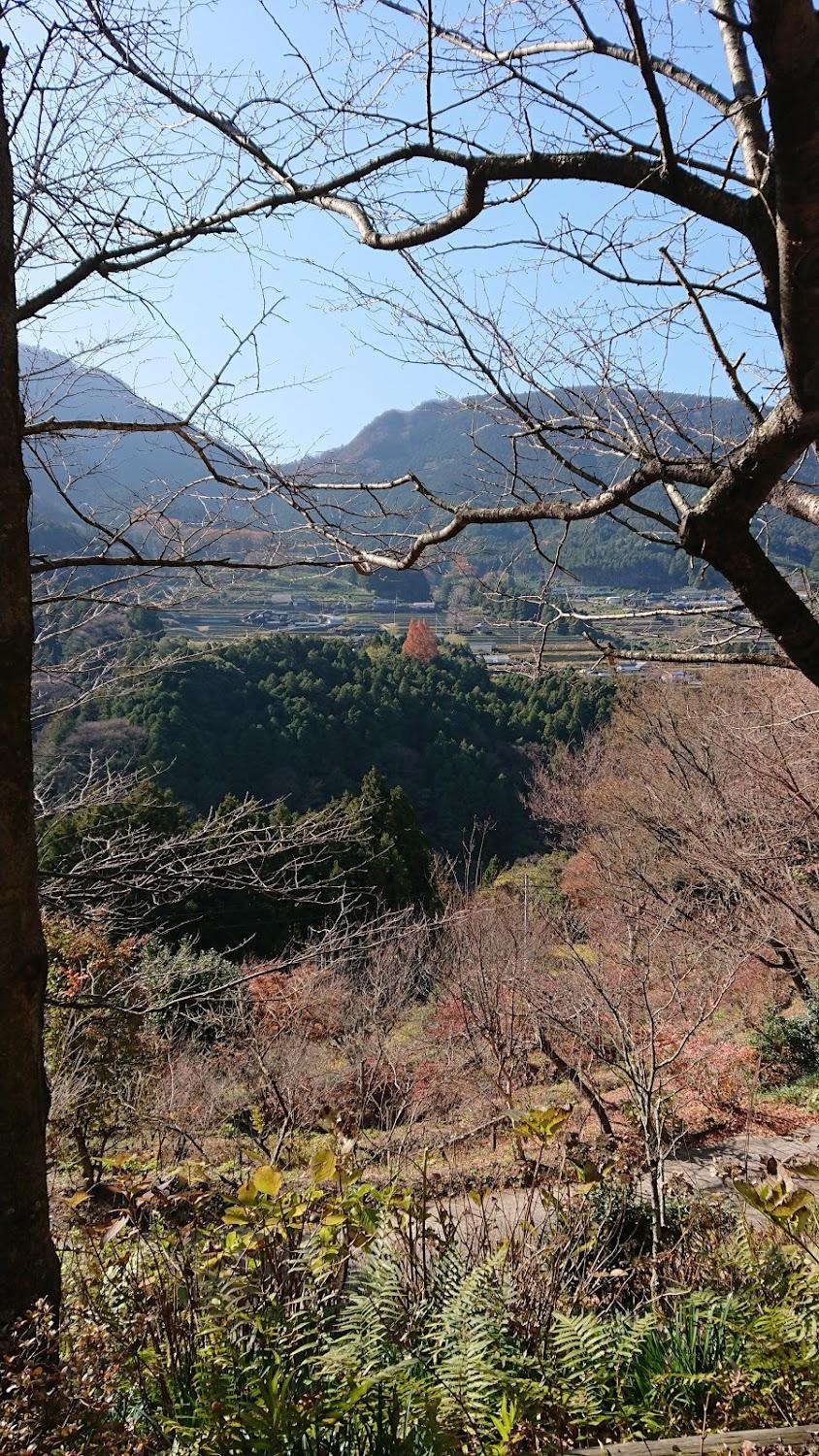 Cover Image for 井内の里 人空田