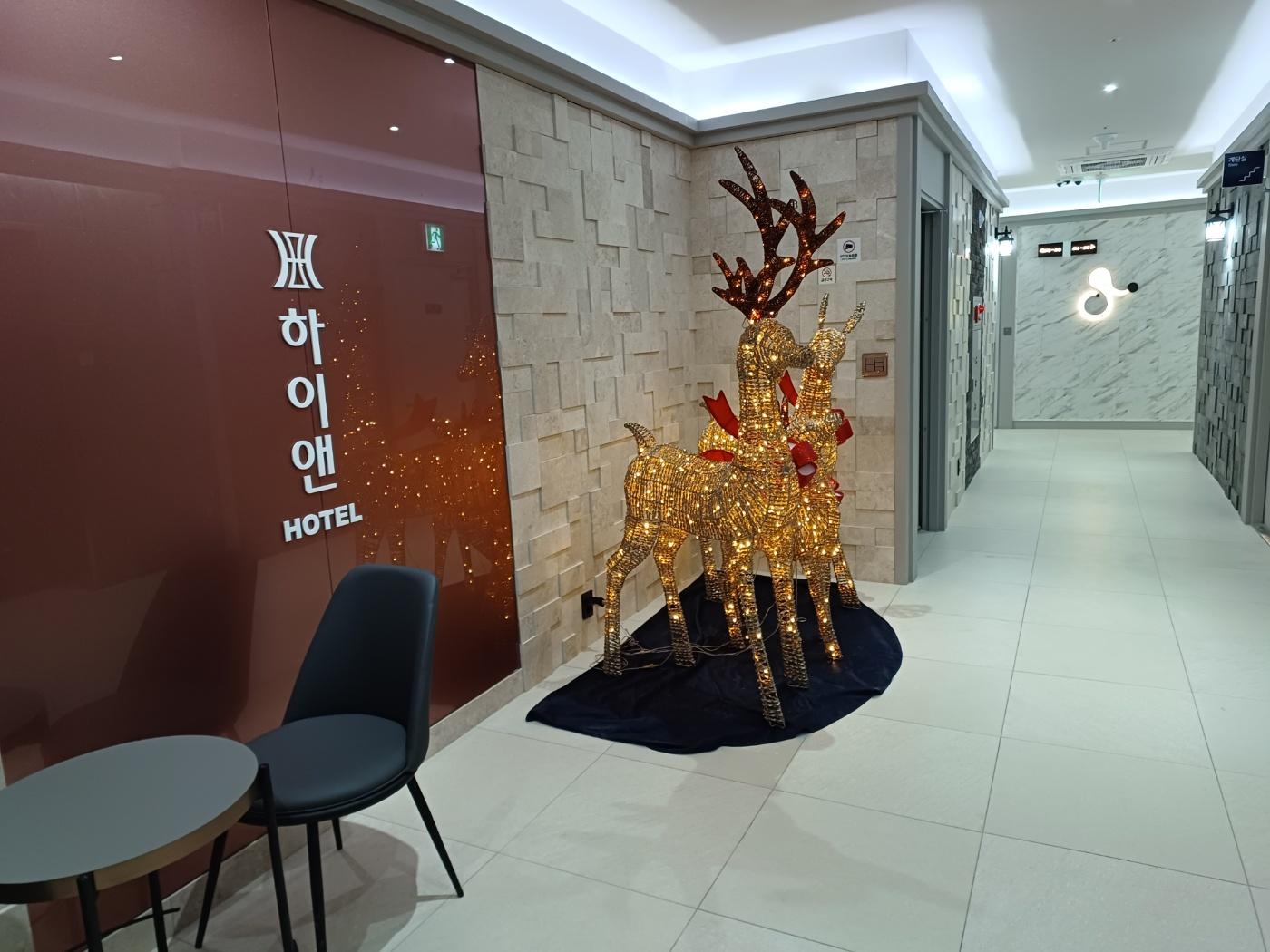 Cover Image for 하이앤호텔