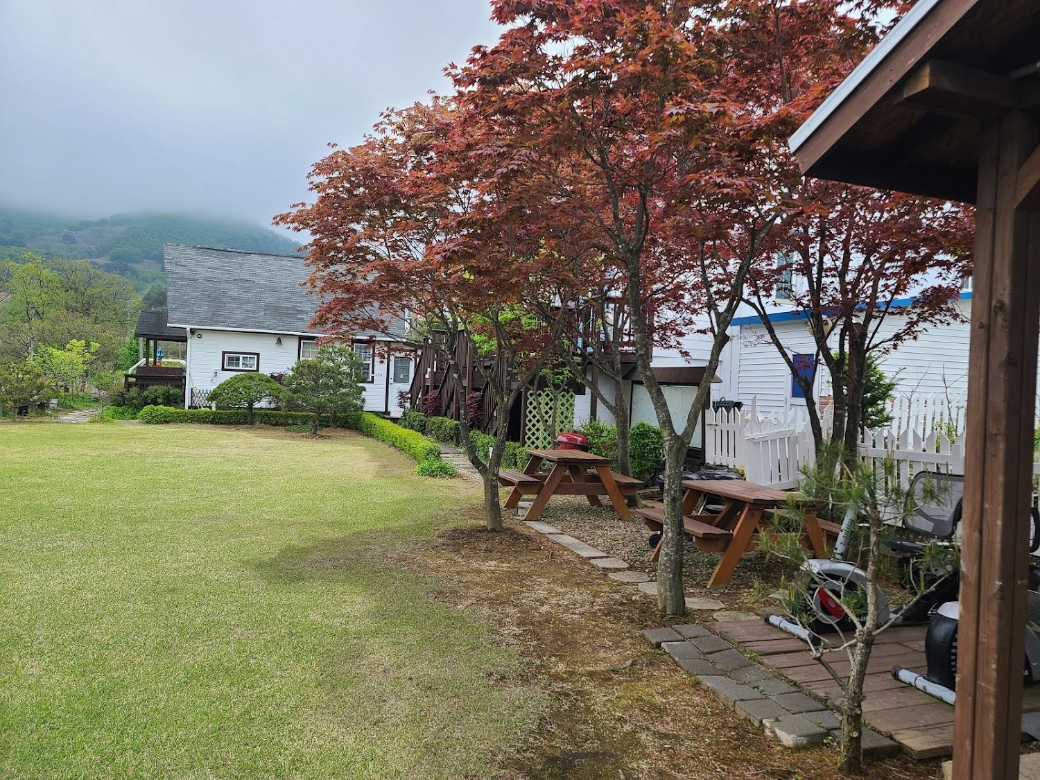 Cover Image for Daegwallyeong Beautiful Pension