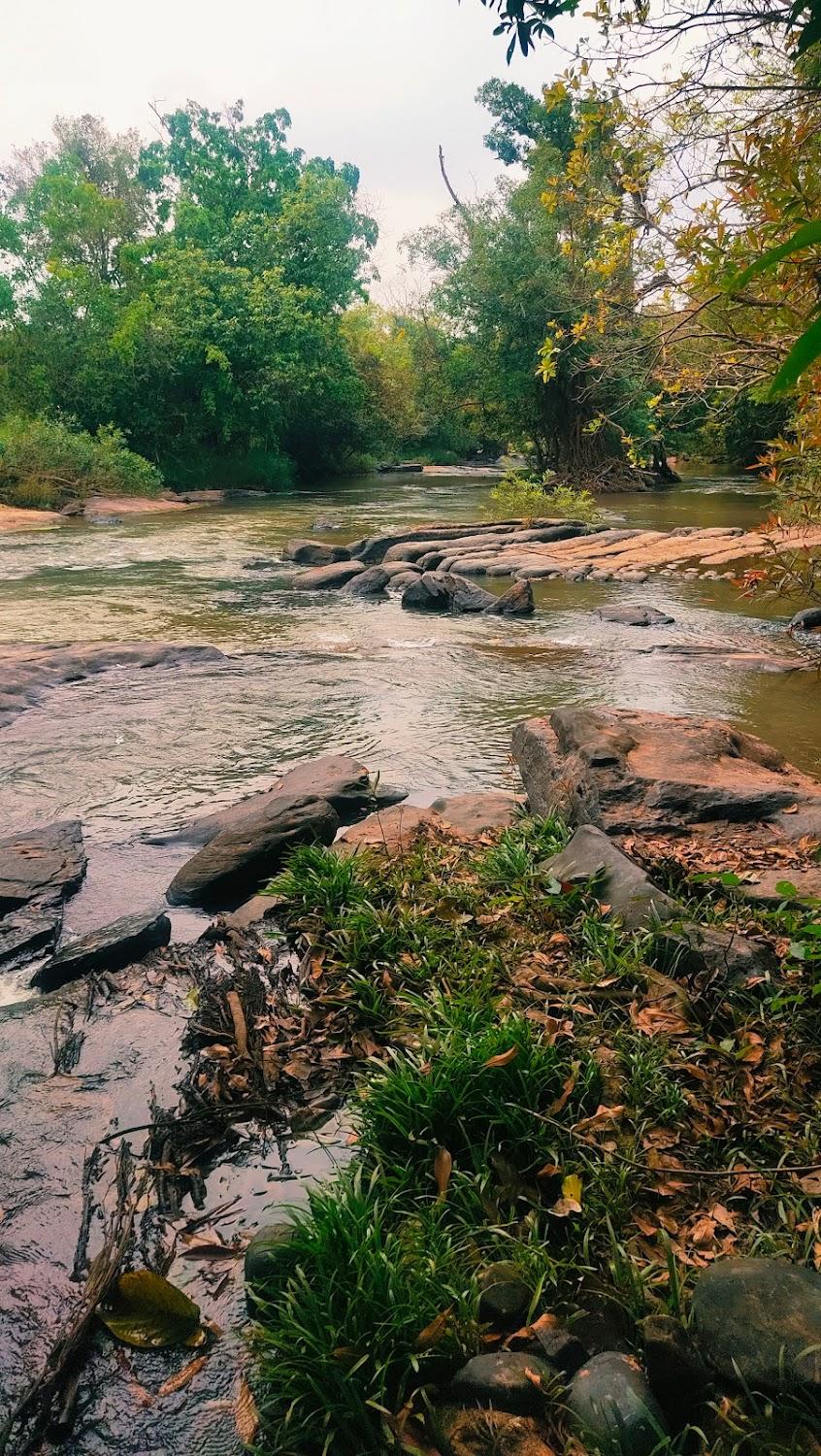 Cover Image for บริษัท เข็ก ริเวอร์ รีสอร์ท จำกัด