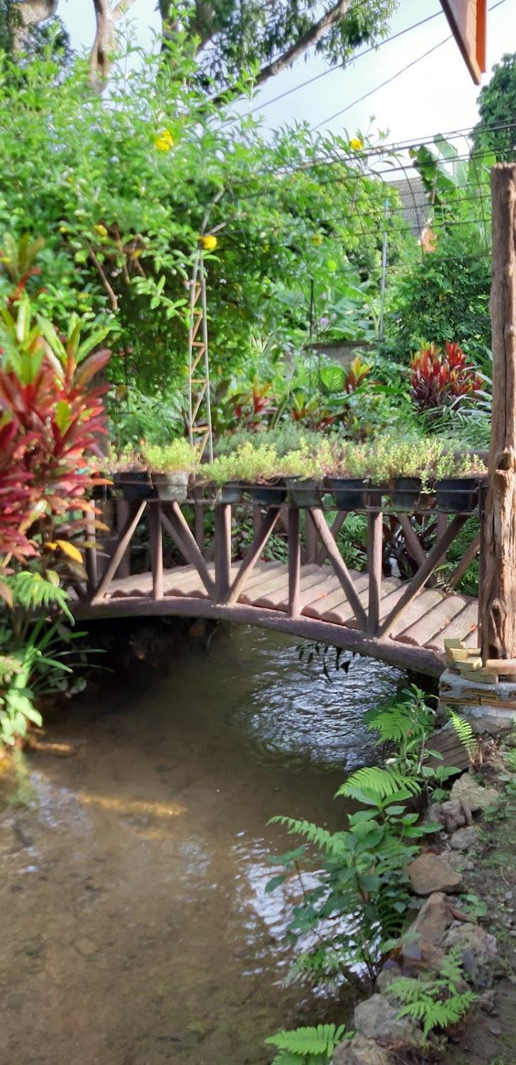 Cover Image for บ้านสวนริมธารนาหวาย