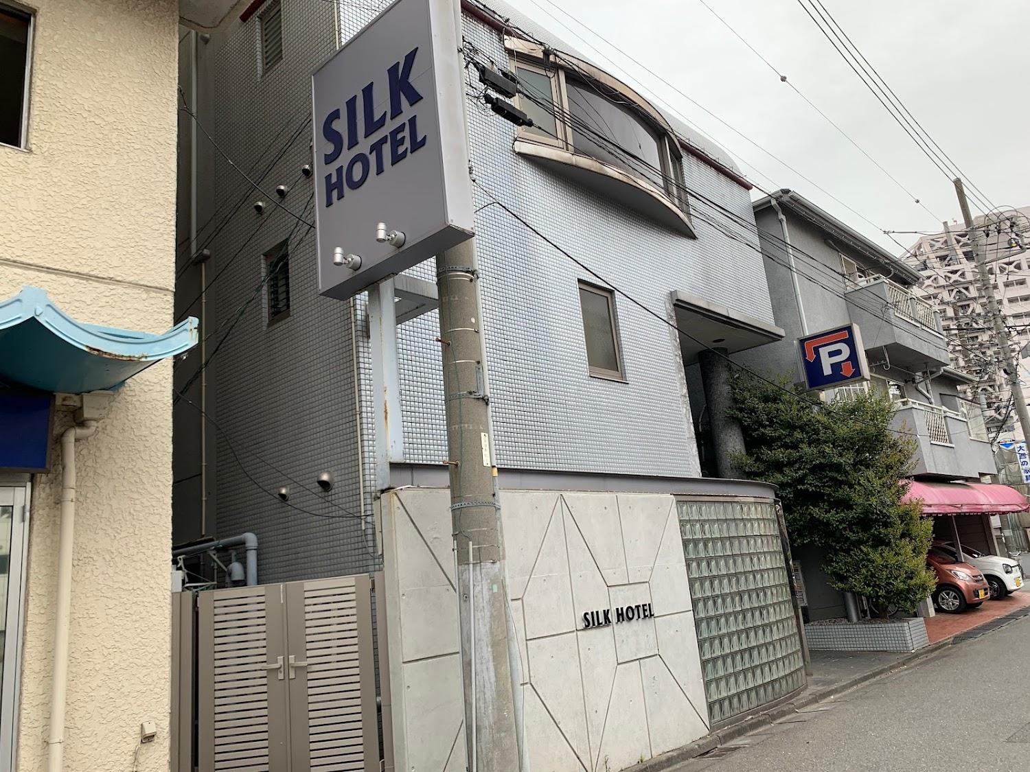 Cover Image for Silk Hotel