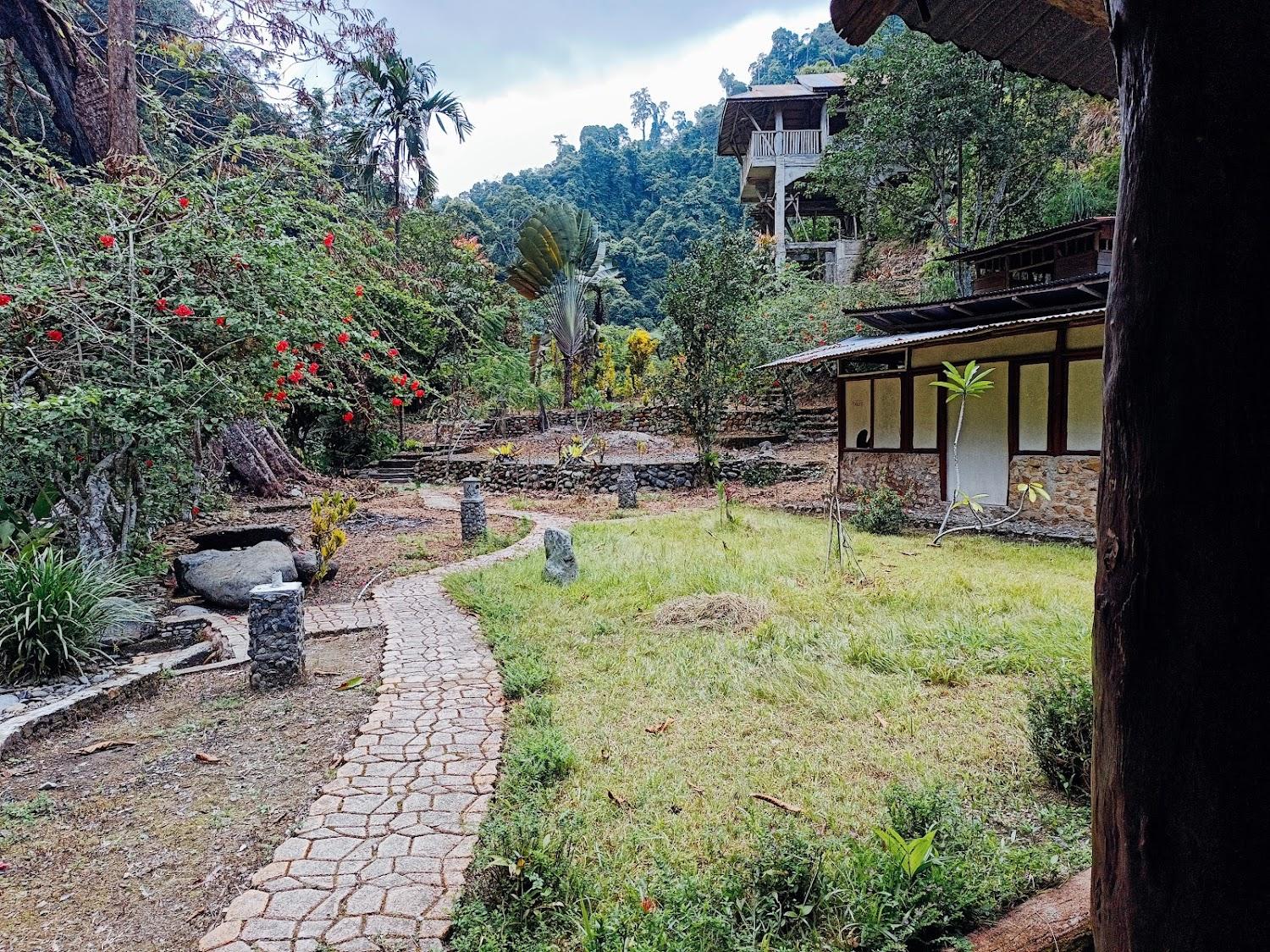 Cover Image for Back to Nature Ecotourism