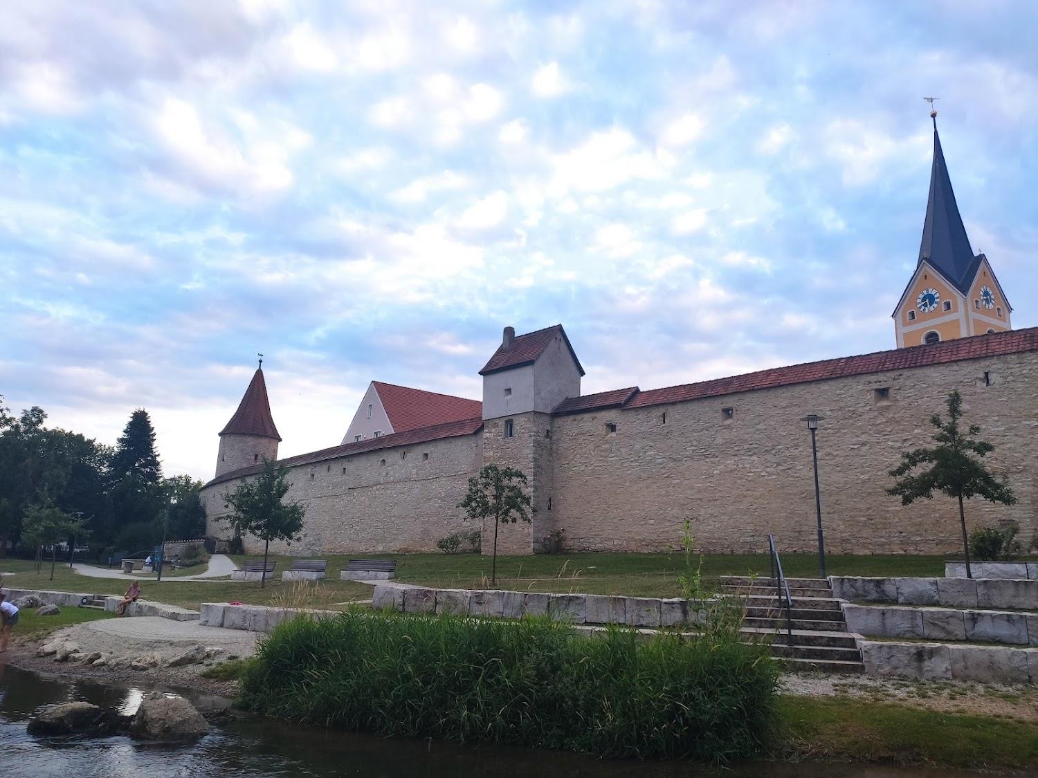 Cover Image for Blaue Traube