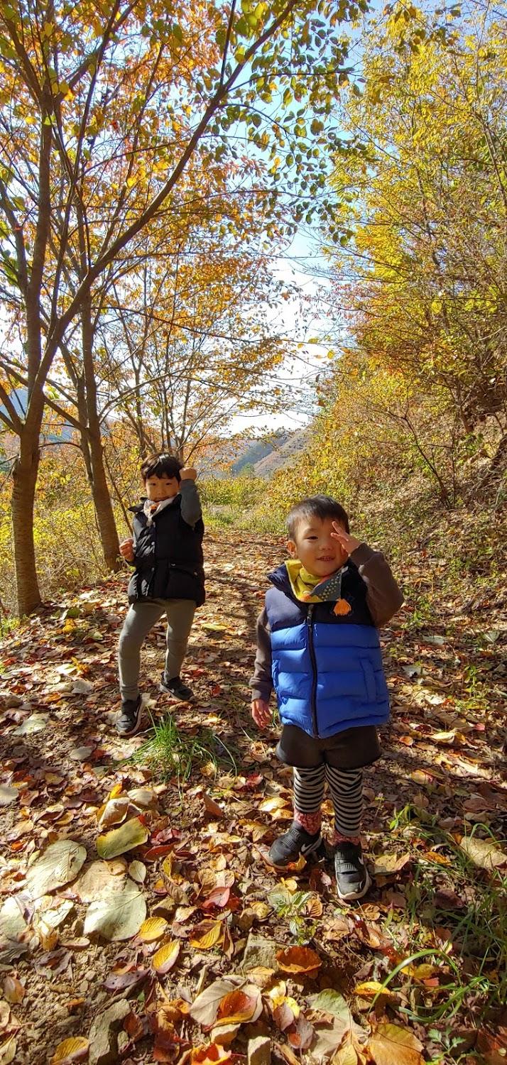 Cover Image for Jamping Holiday Yongin