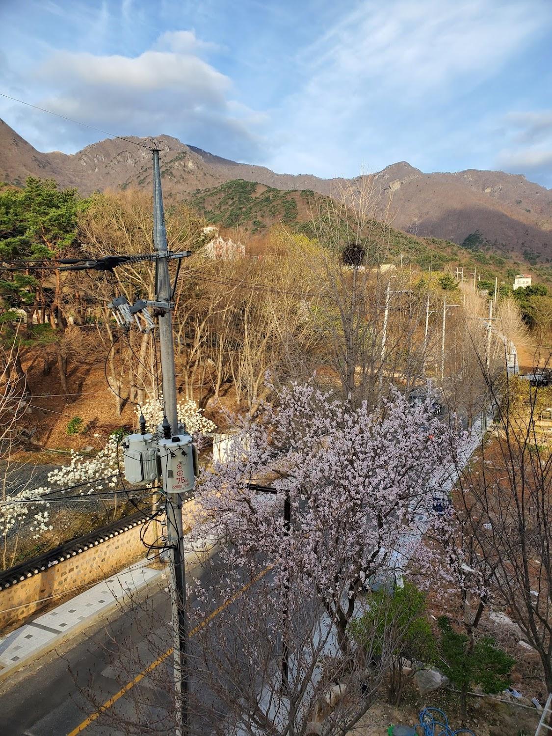 Cover Image for 더뱀부호텔