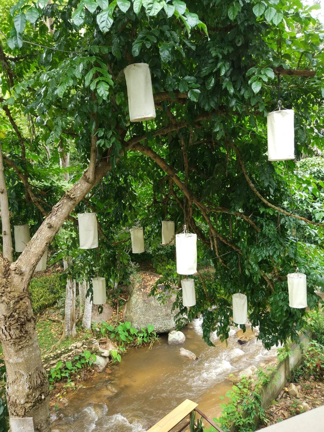 Cover Image for บ้าน ป้าต้อยแม่กำปอง2
