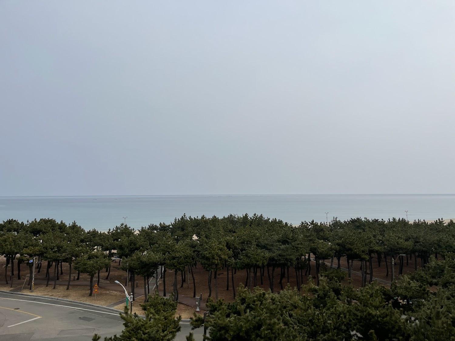 Cover Image for 한마음비치