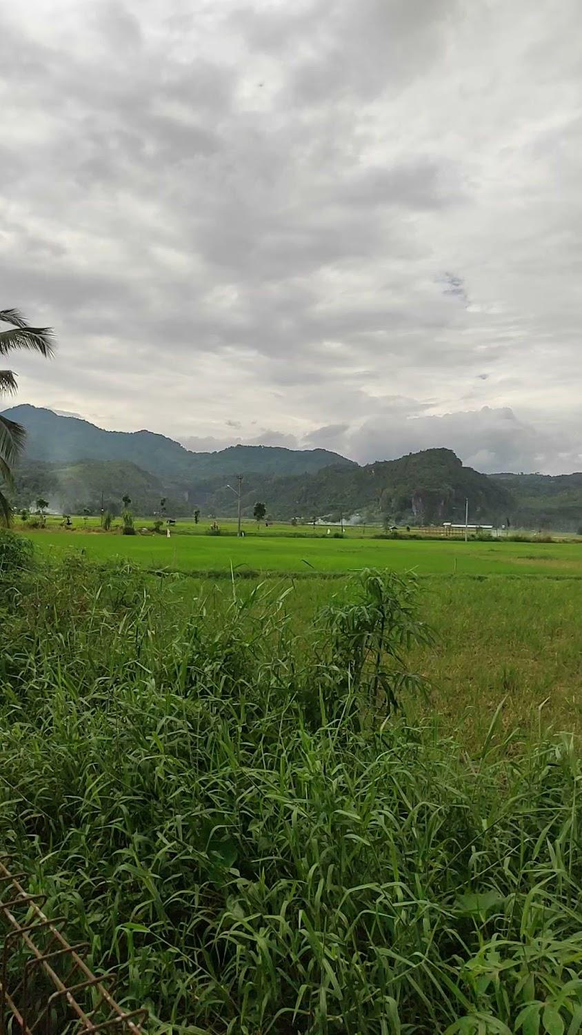 Cover Image for Roemah Atuk Homestay