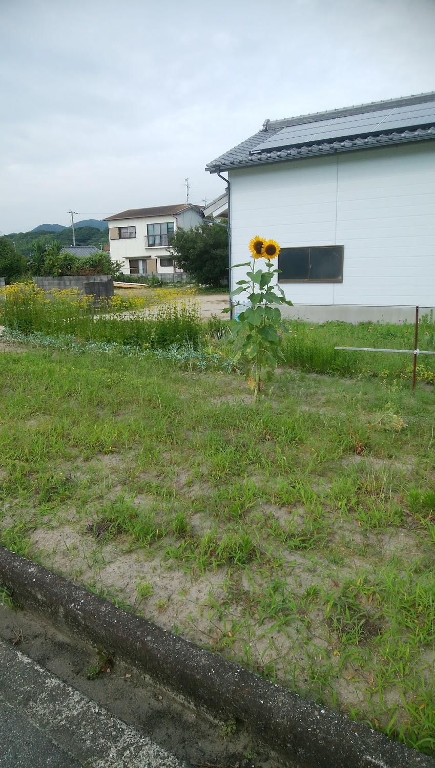 Cover Image for 民宿 サンビーチさつき