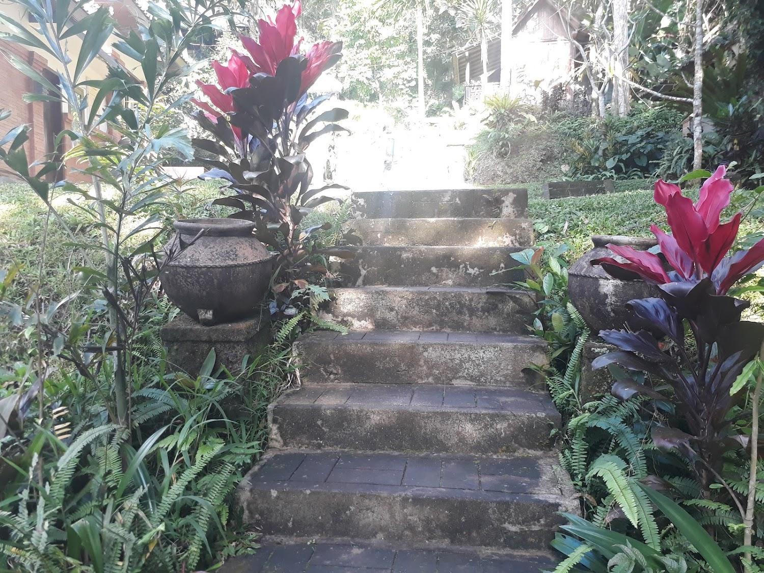 Cover Image for Ảnh At a glance