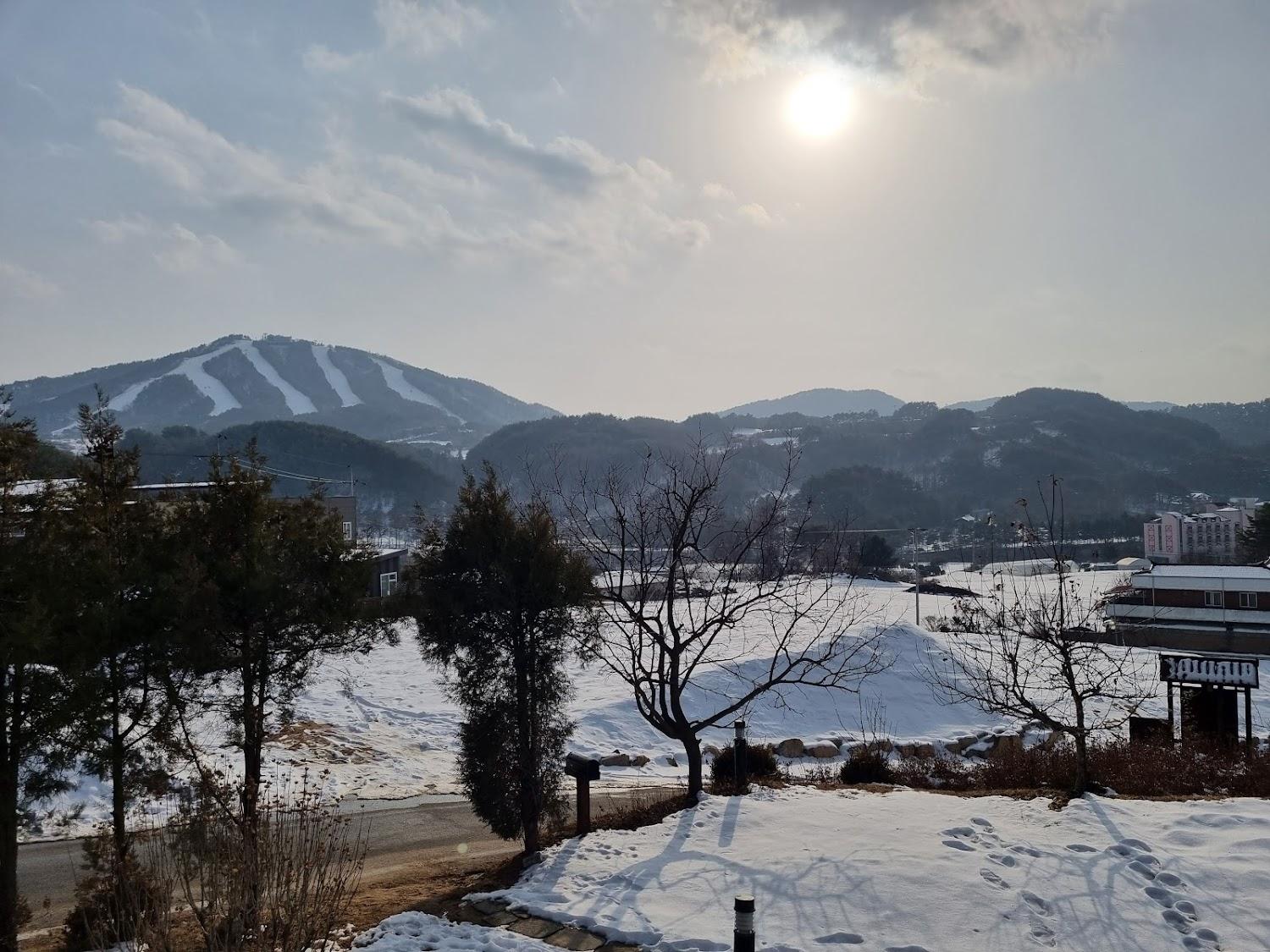 Cover Image for 로즈오브샤론펜션