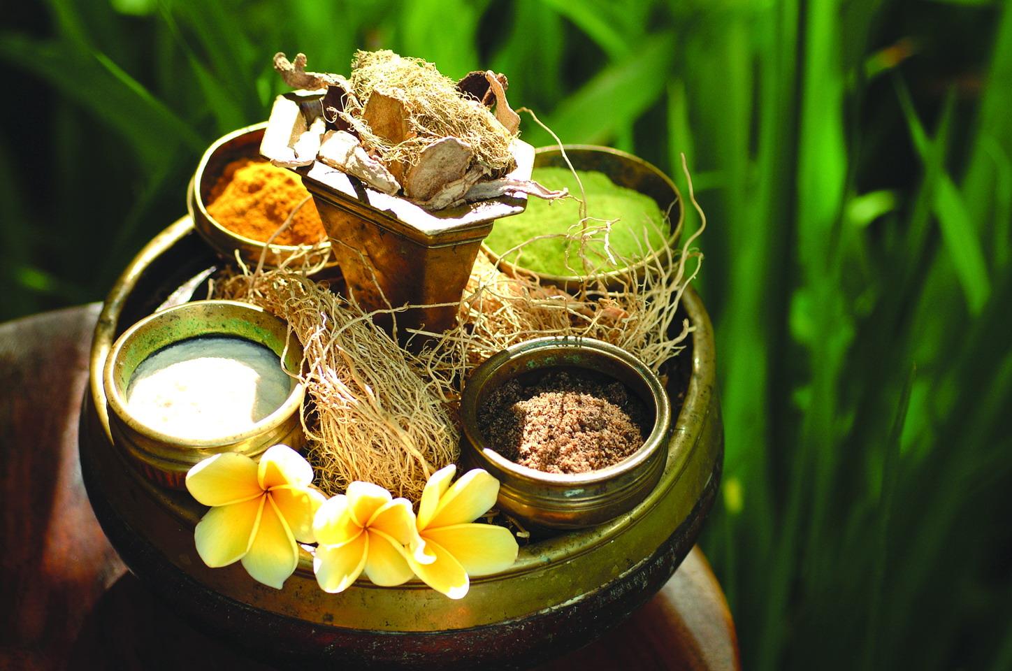 Cover Image for Bagus Jati Health & Wellbeing Retreat Resort