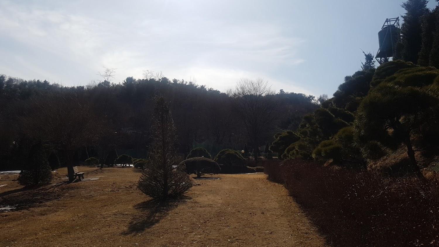 Cover Image for 쪽박소펜션
