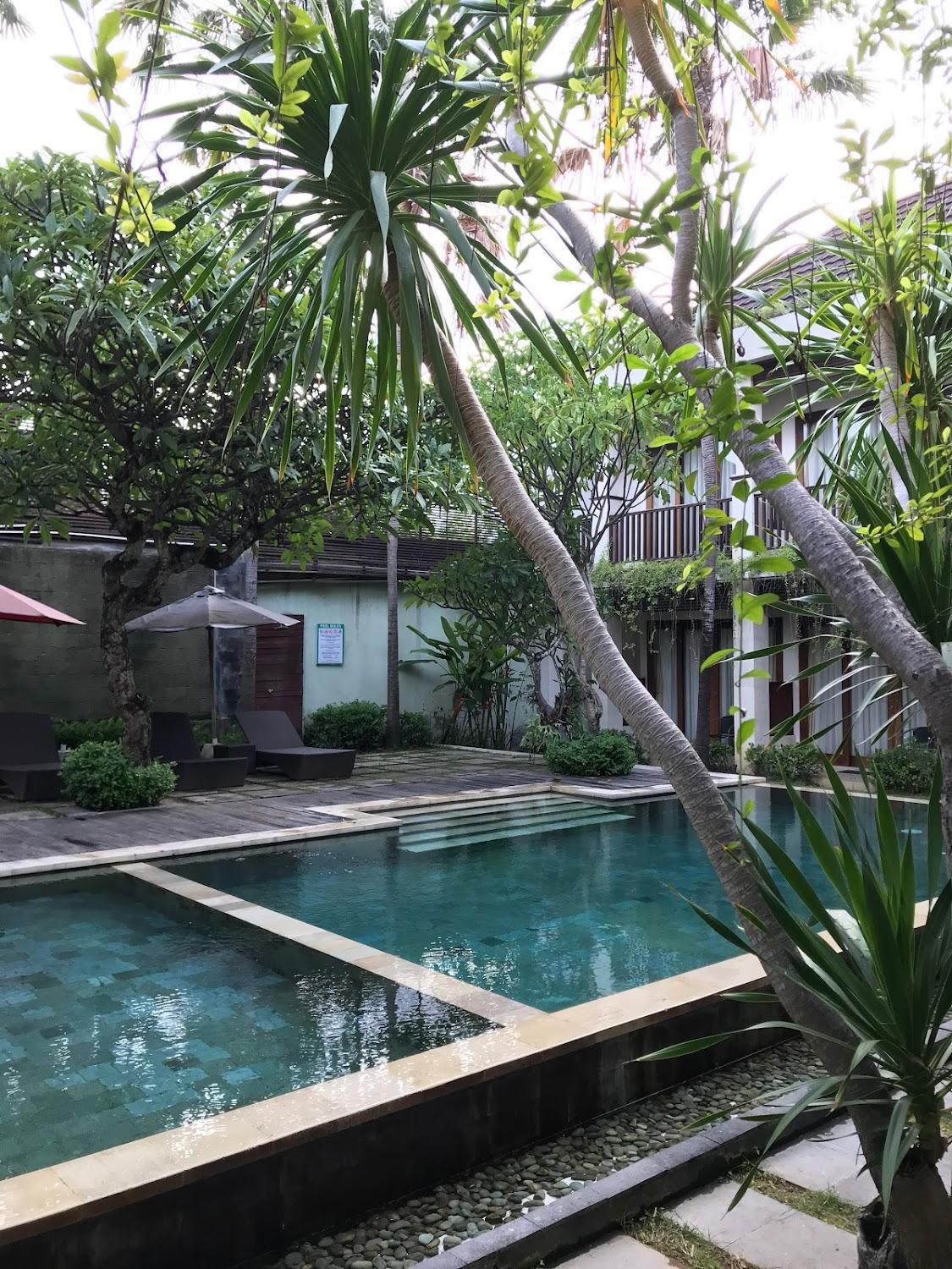 Cover Image for The Griya Hotel