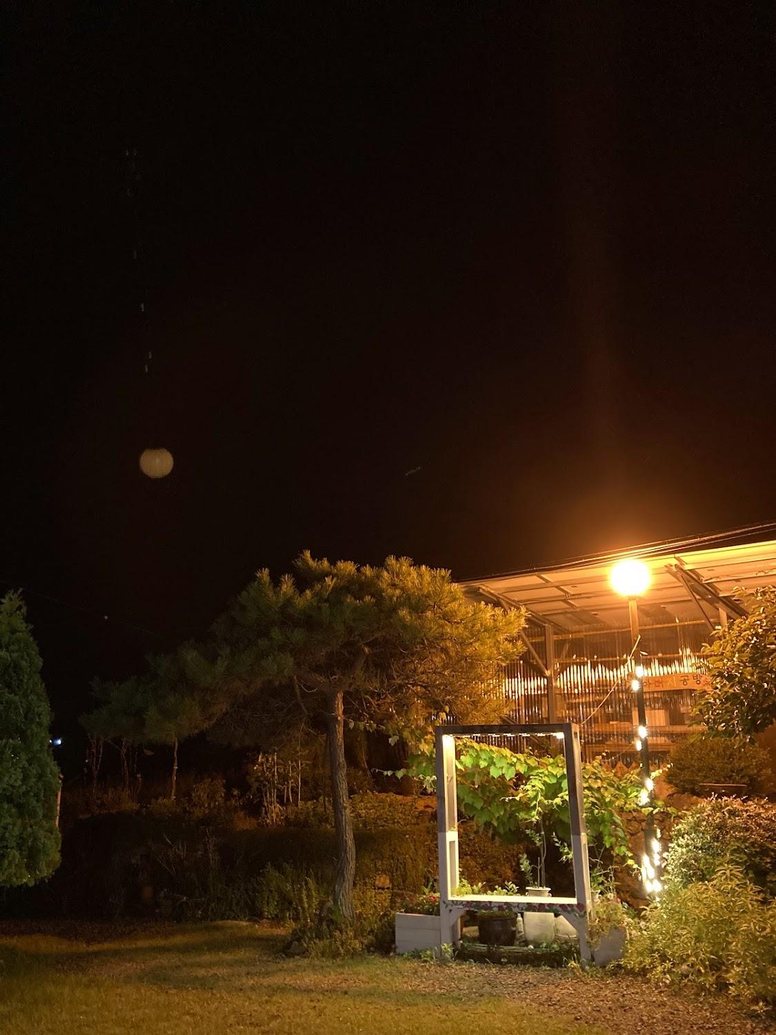 Cover Image for 화가와 꽃