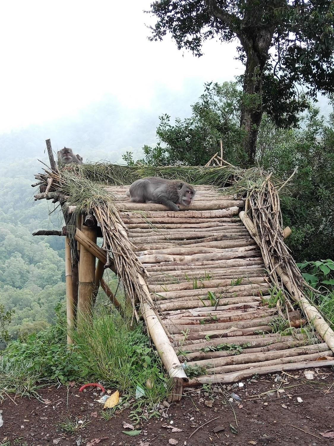Cover Image for Bale Sembahulun Cottages and Tent
