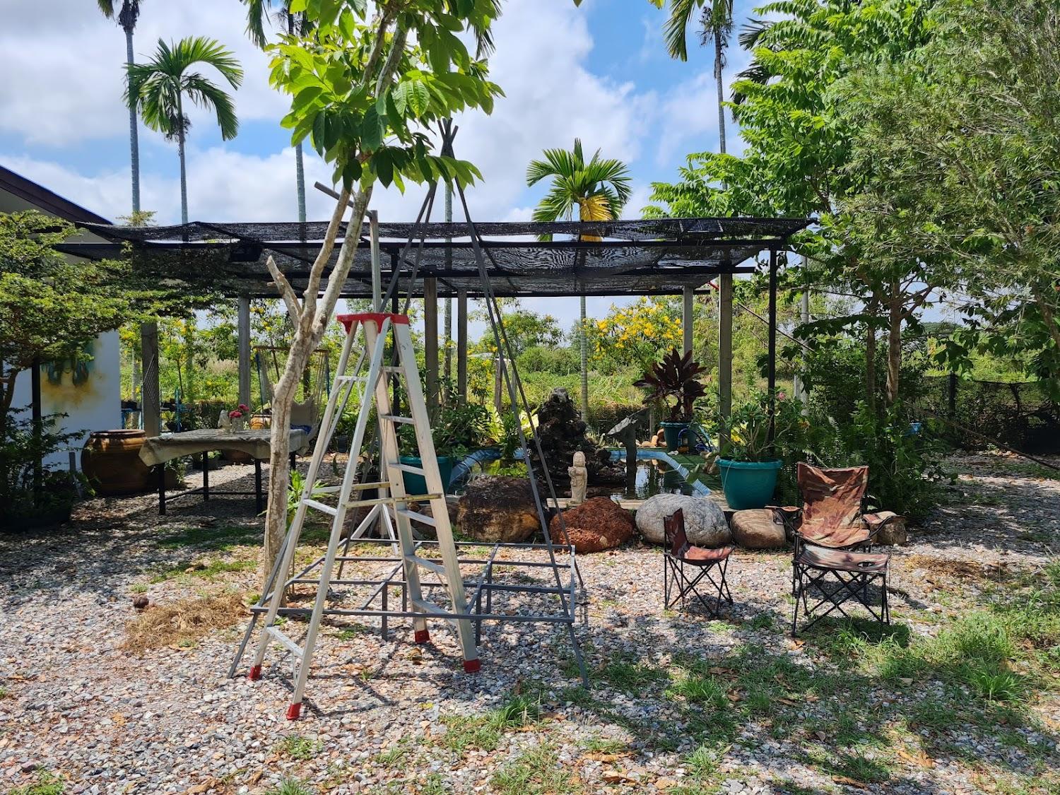 Cover Image for Warm Hugs Homestay บ้านโอบอุ่น