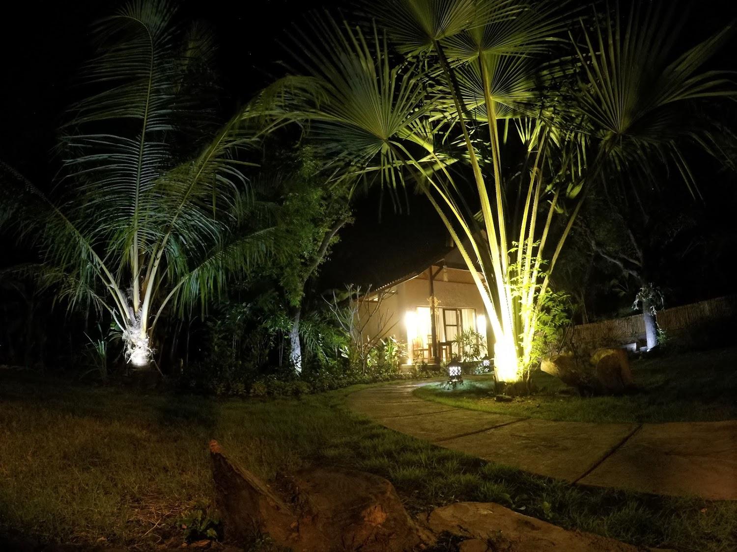 Cover Image for Tuke Menjangan
