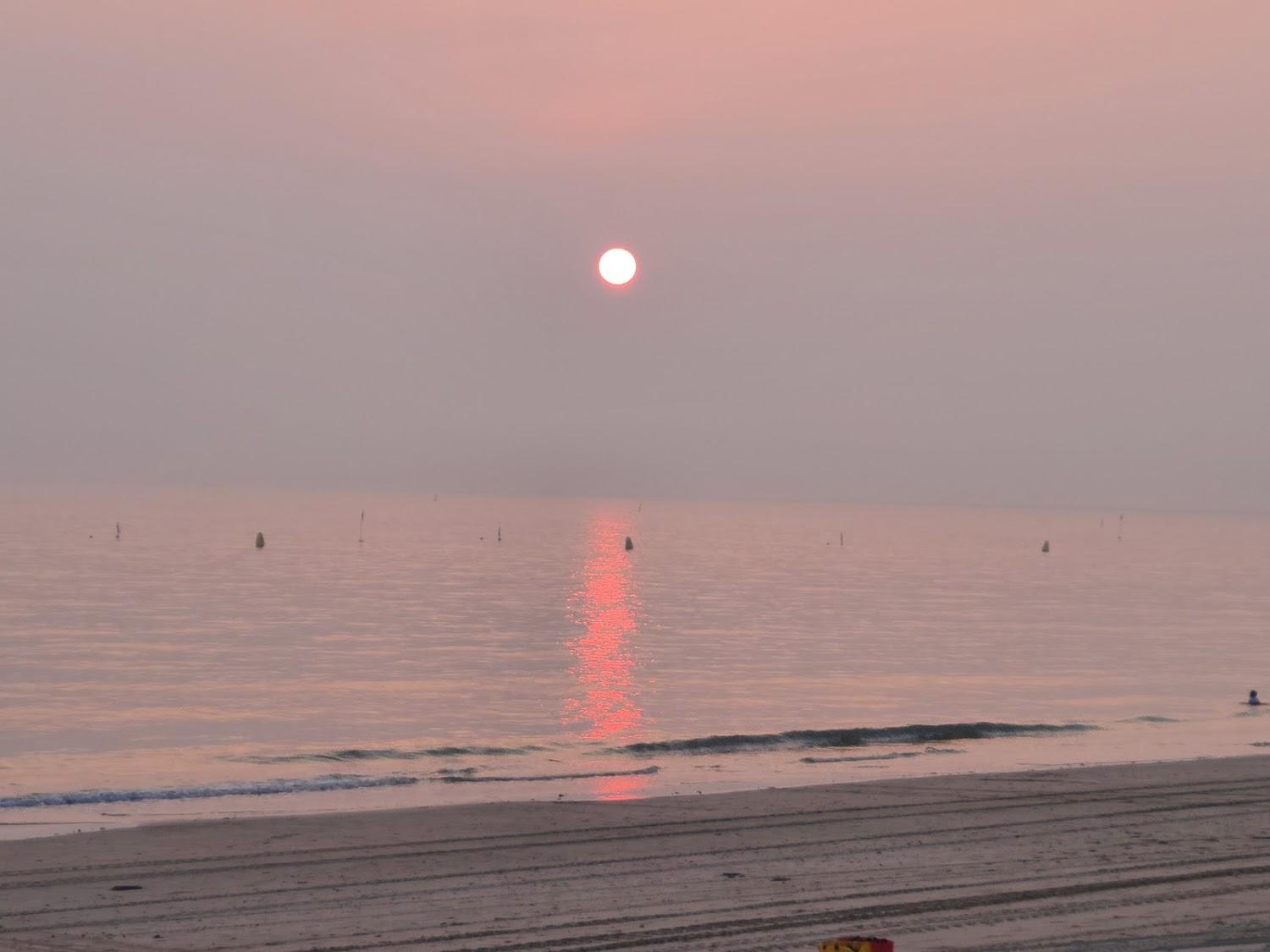 Cover Image for 해수모텔
