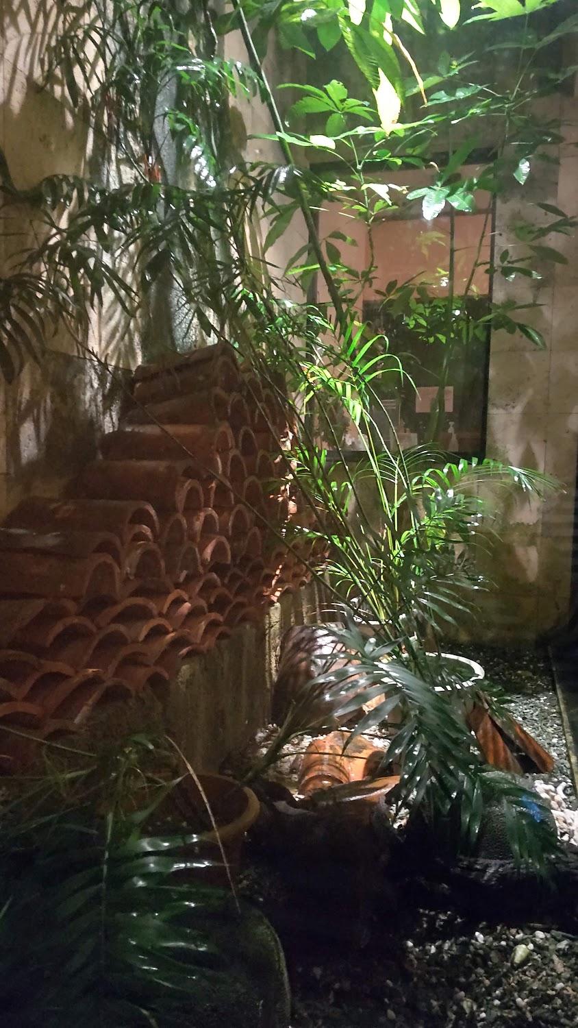 Cover Image for guest house Holoholo