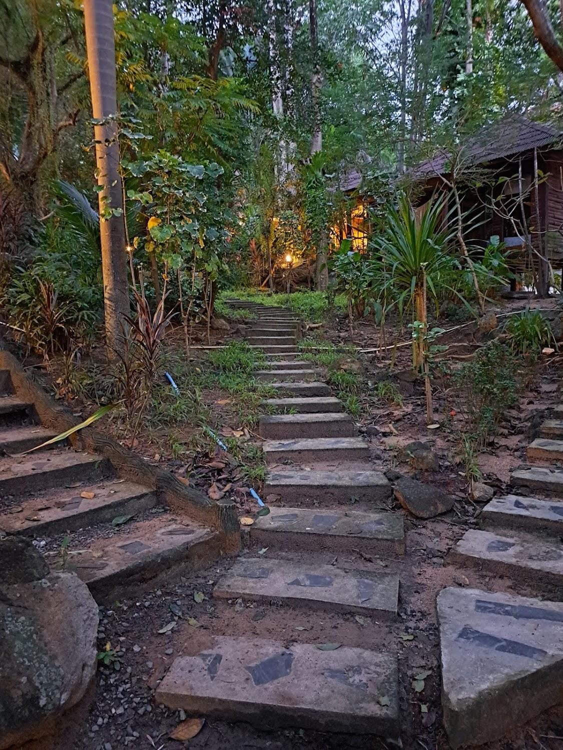 Cover Image for High Life Bungalow