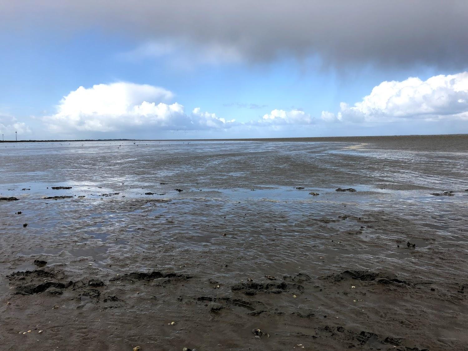 Cover Image for Huus an`t Deep