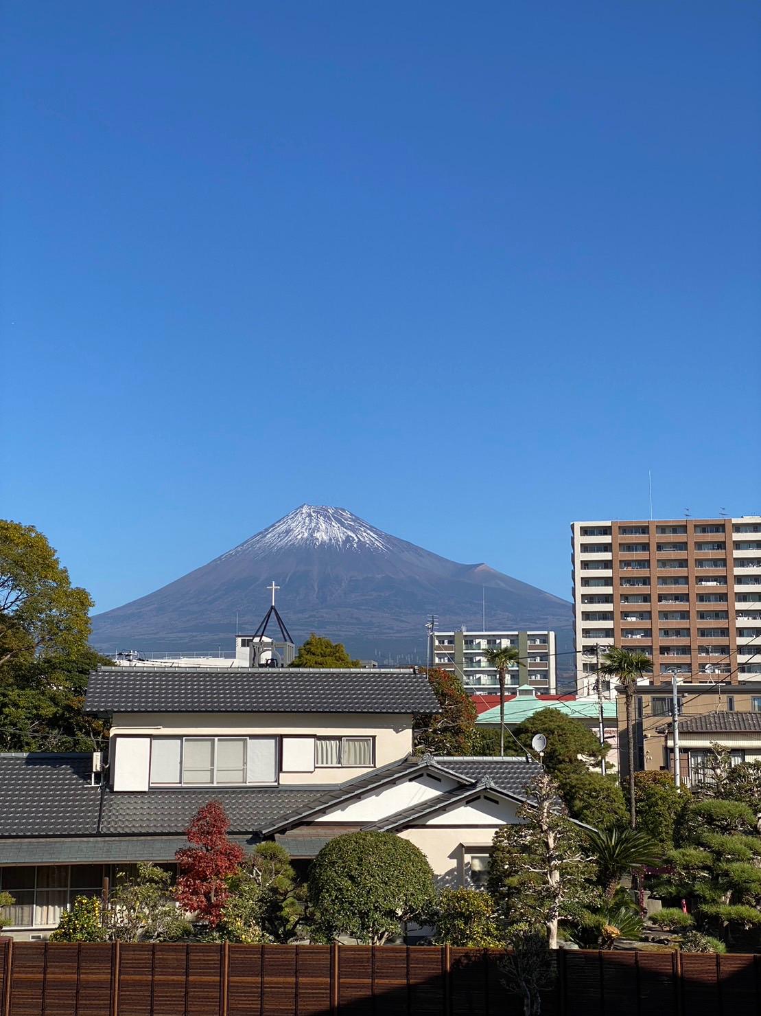 Cover Image for MR. TOMO FUJI