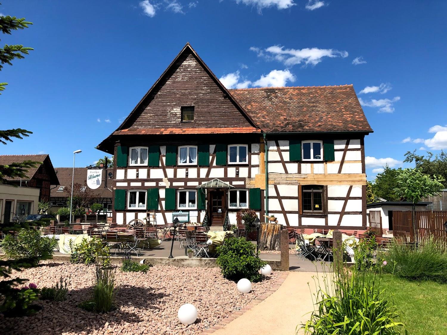 Cover Image for Pension Blume in Kehl-Auenheim