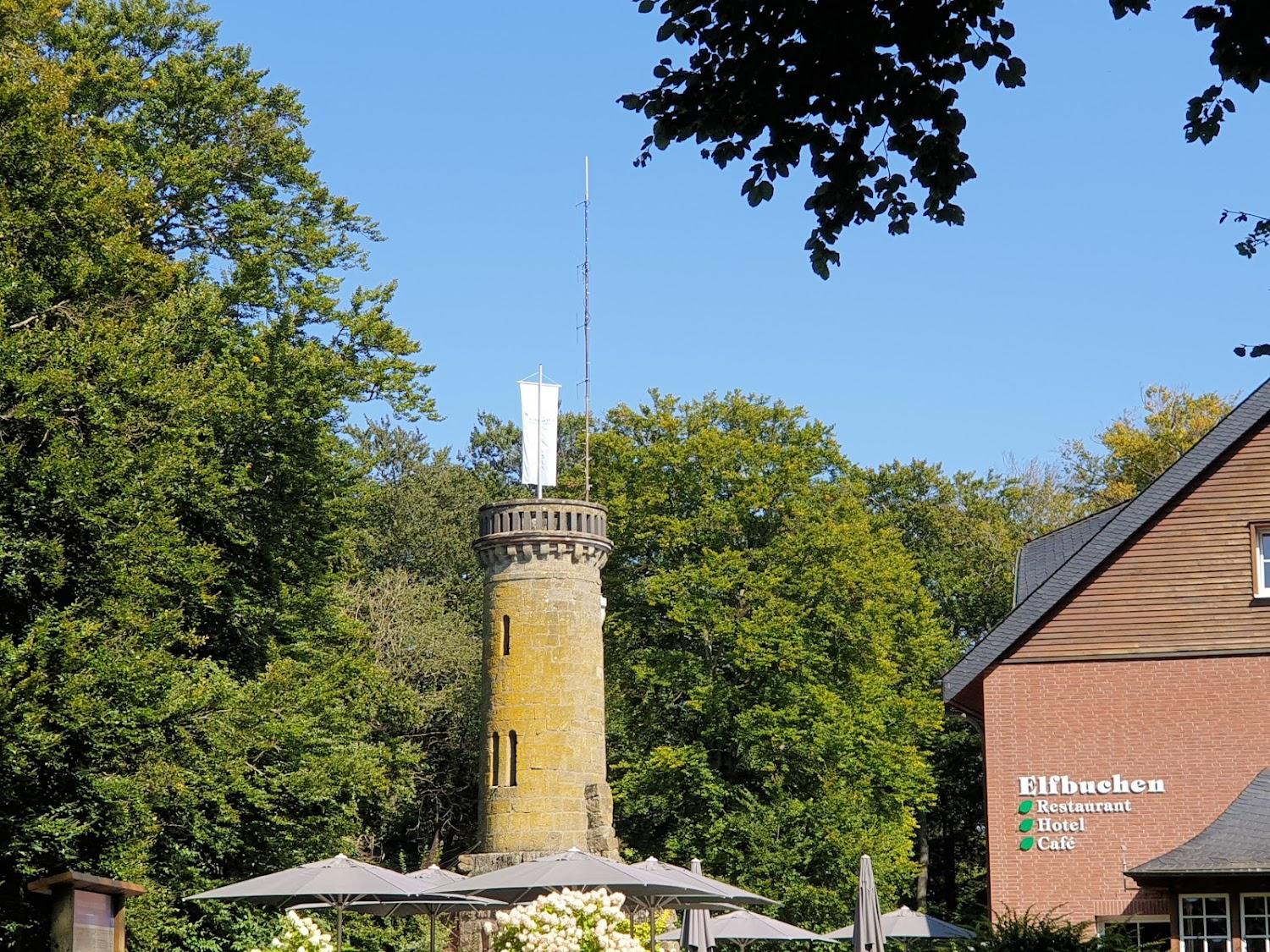 Cover Image for Waldhotel Elfbuchen