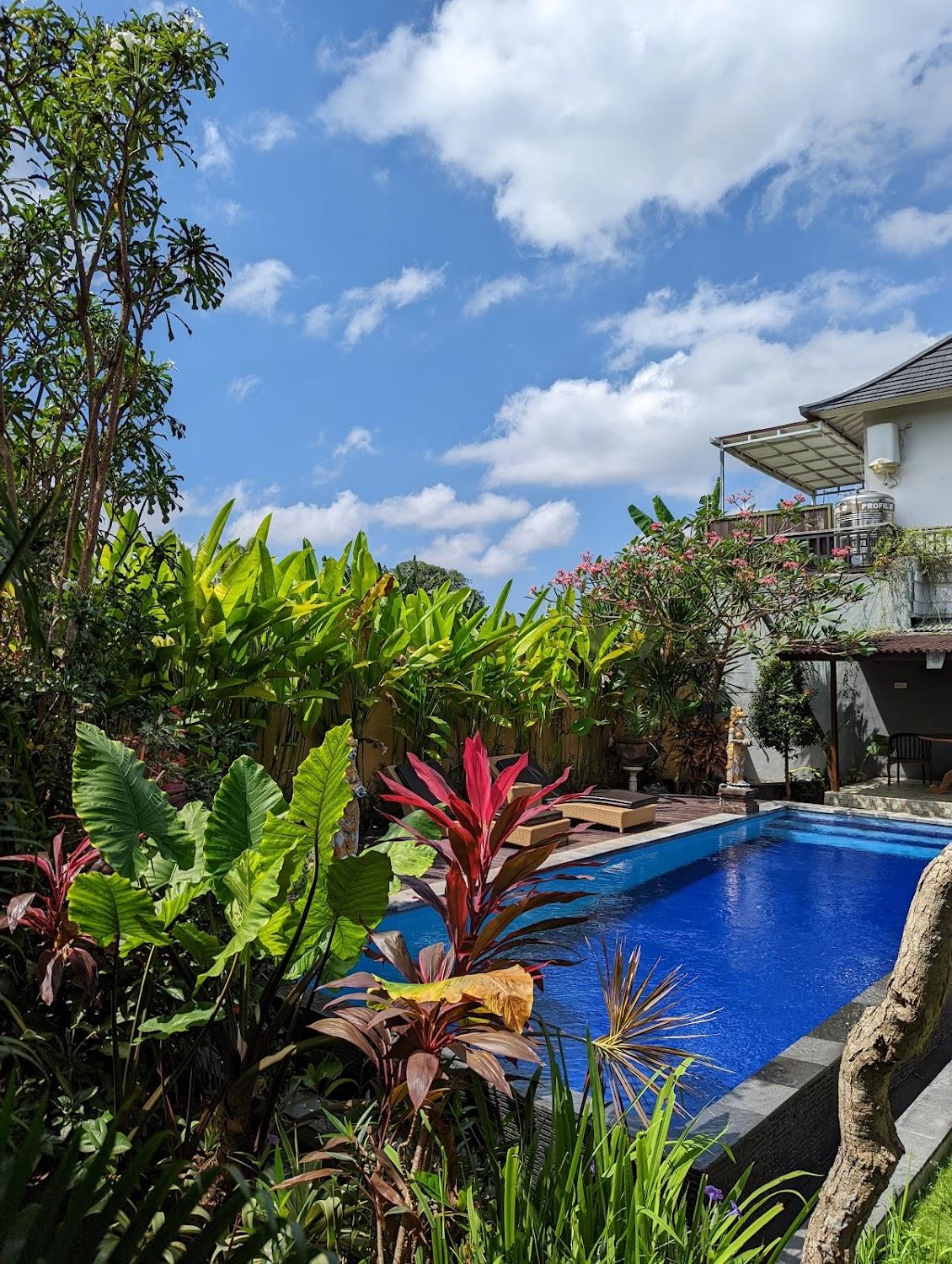 Cover Image for Asri guest house