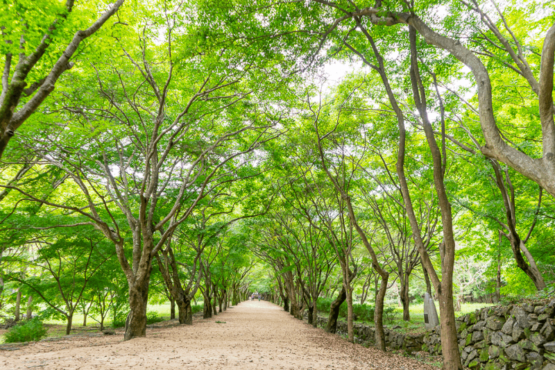 Cover Image for 고성 들꽃스테이 독채