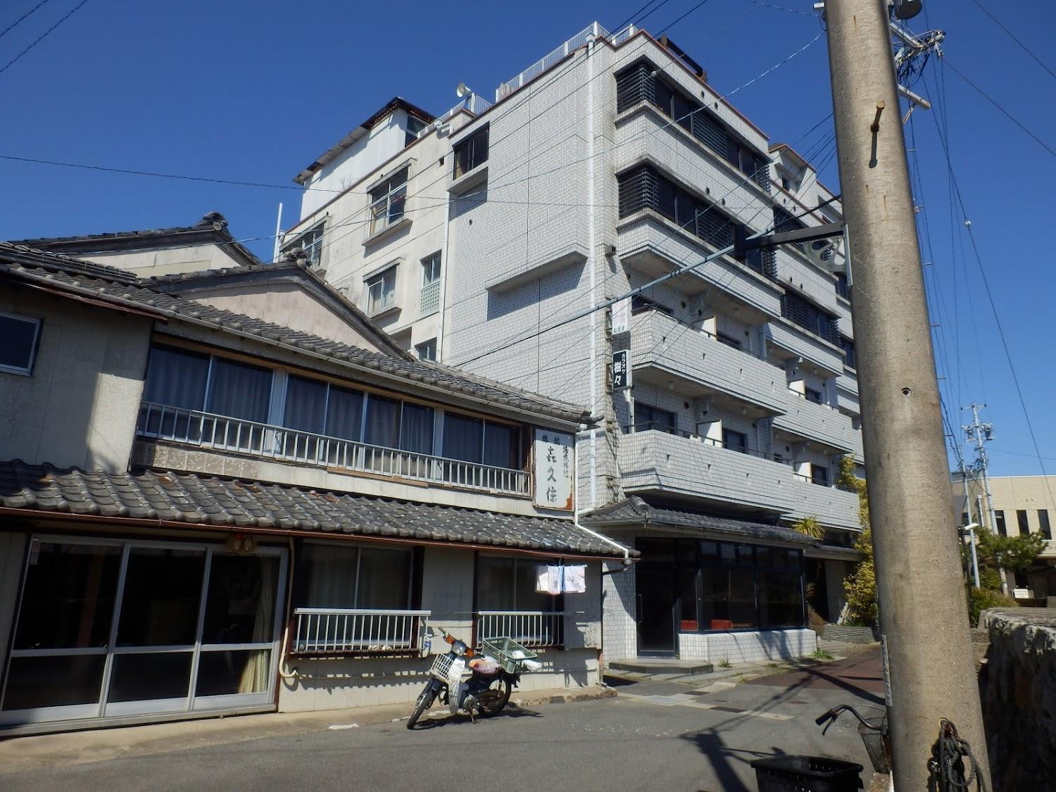 Cover Image for Kikusumi