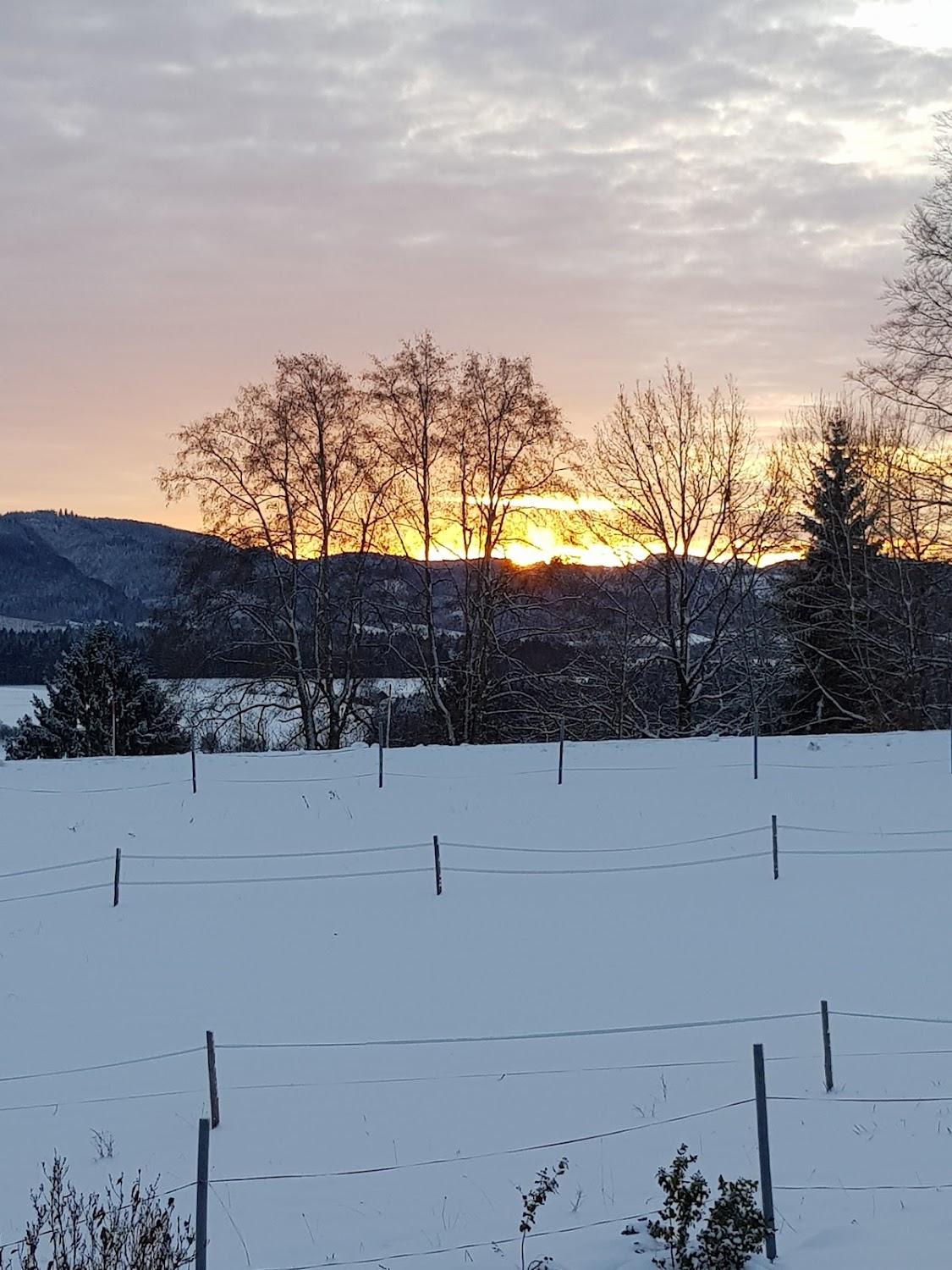 Cover Image for Tornau Pension