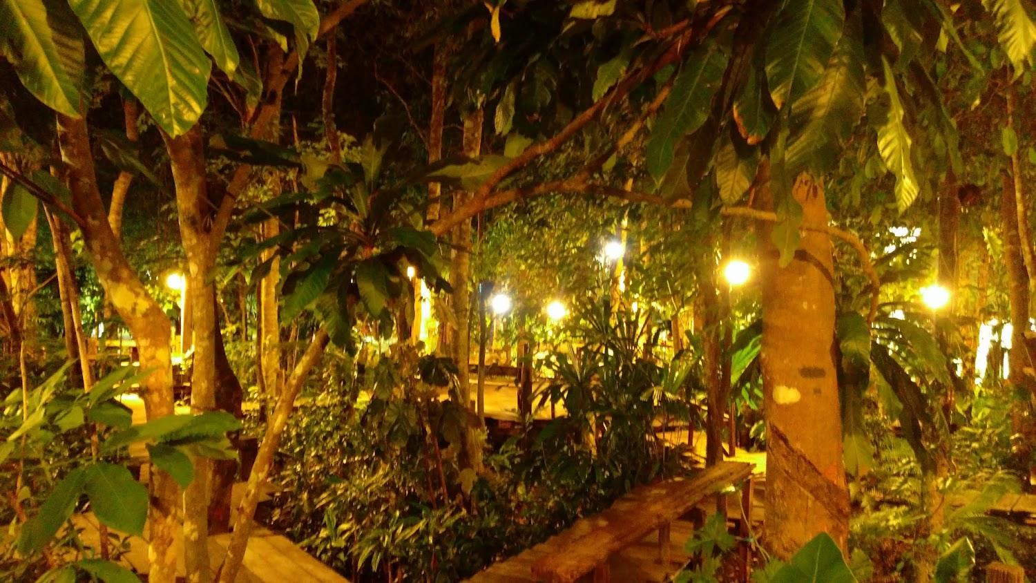 Cover Image for Oh Tree Resort
