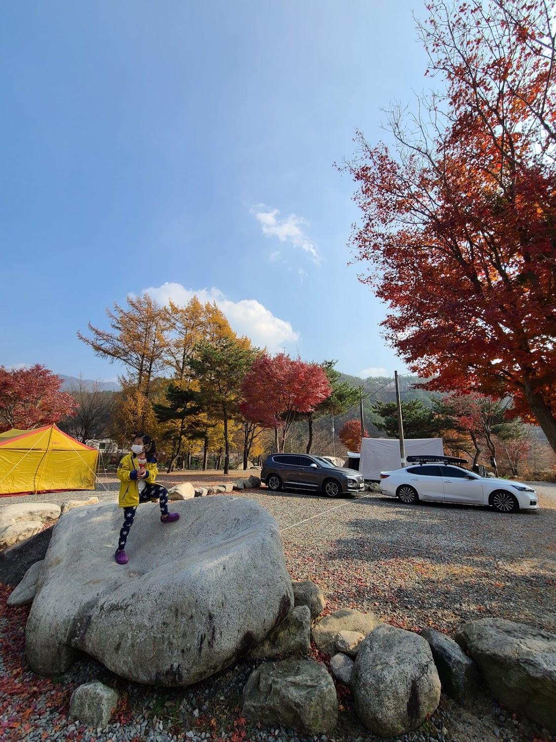 Cover Image for 계곡메사캠핑장팬션