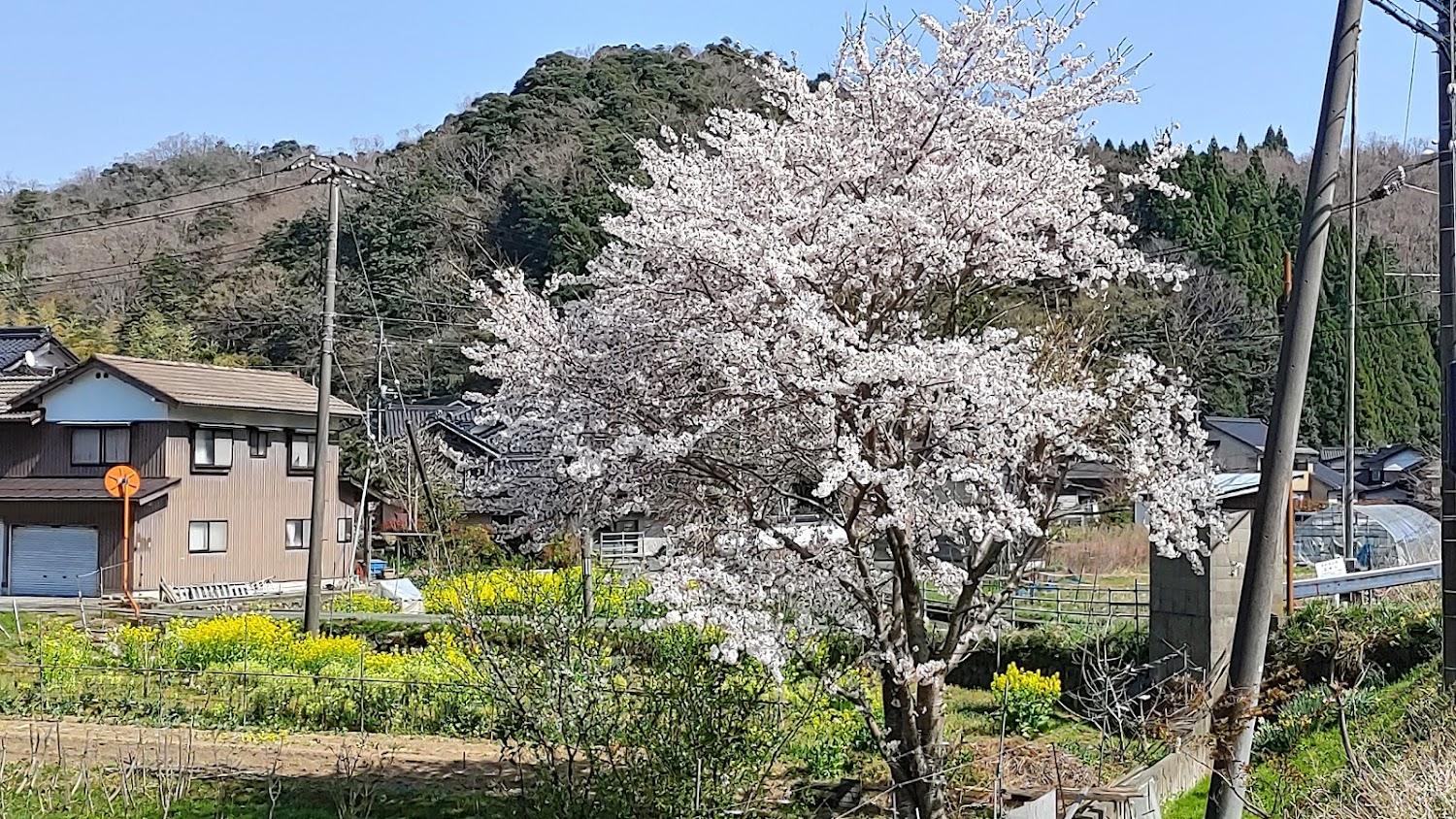 Cover Image for New-Otani Inn