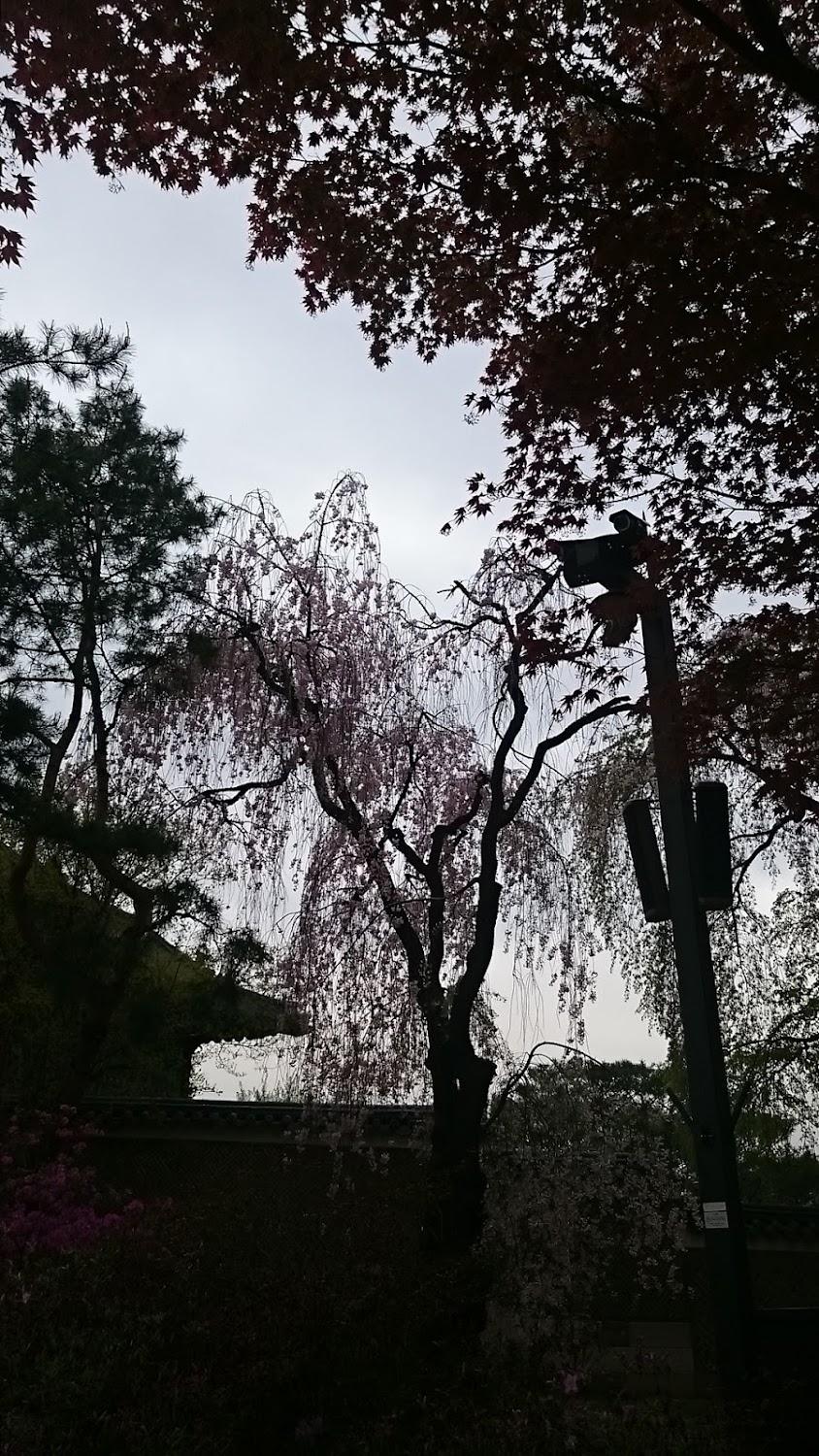 Cover Image for 索爾塔1號K賓館