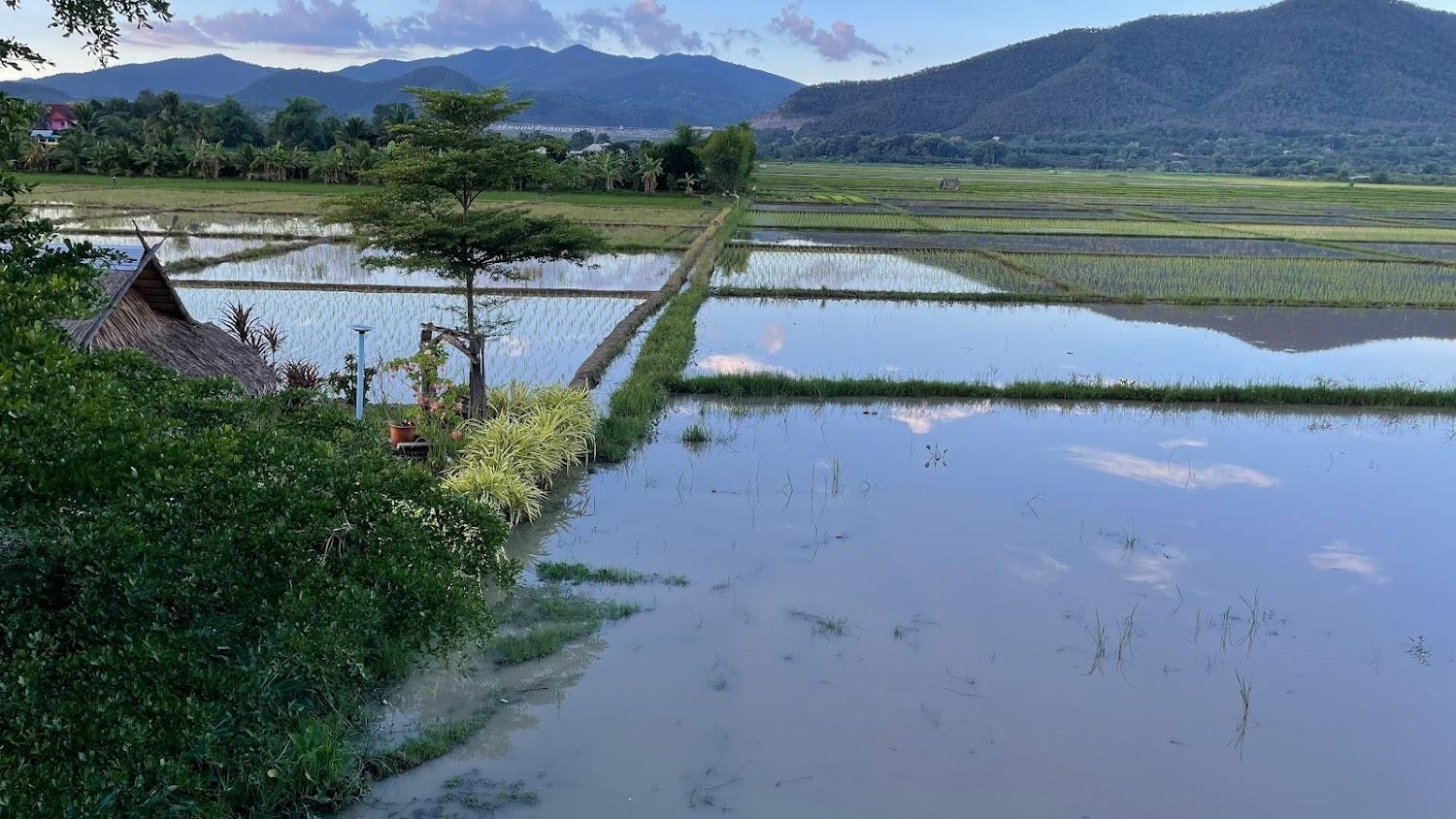 Cover Image for Homestay "De Keikoel"