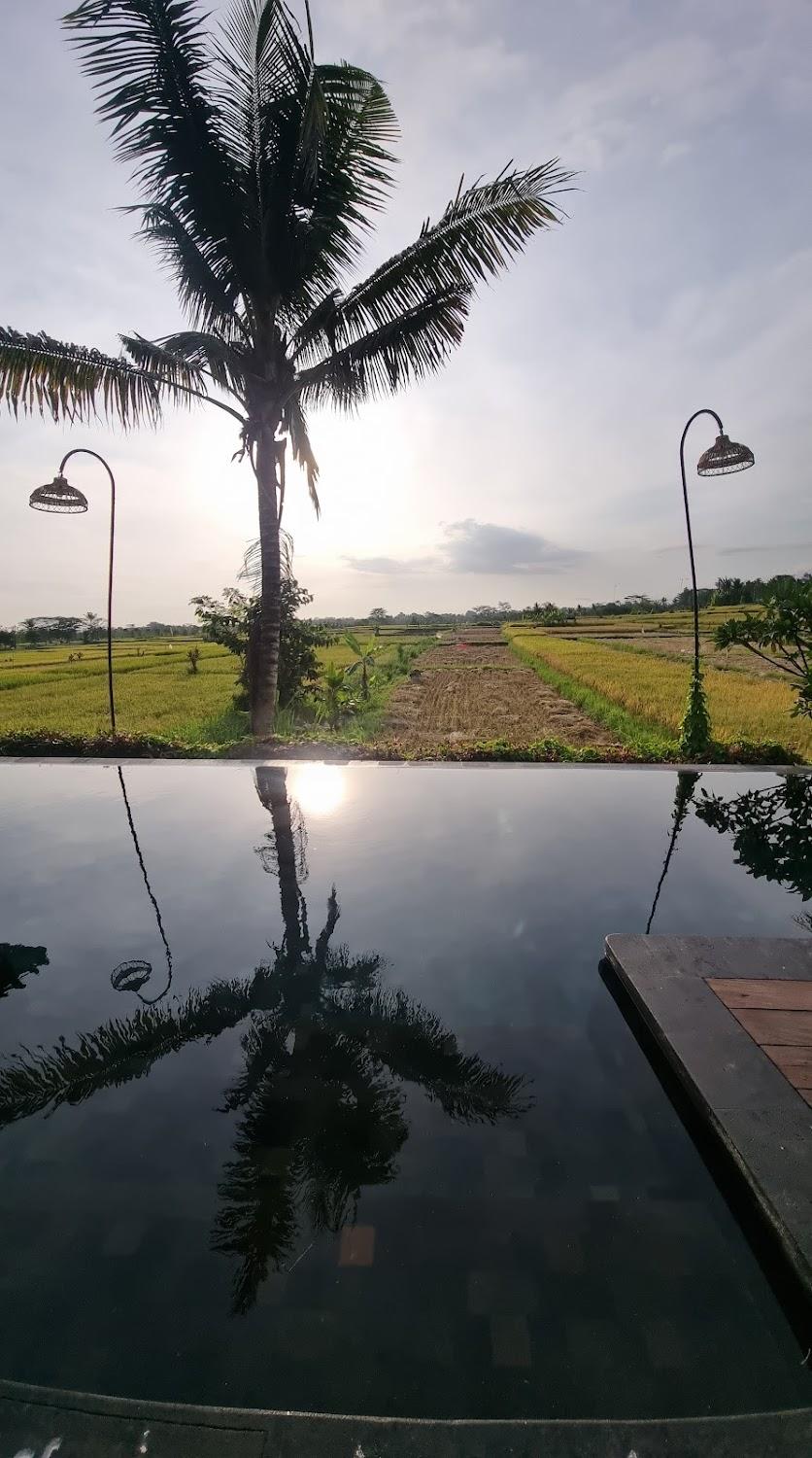Cover Image for The Joglo at Umah Sunset