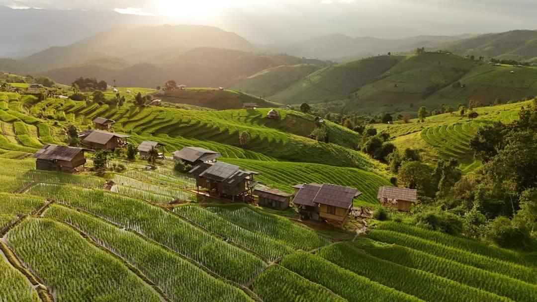 Cover Image for บ้านพักกันยา ป่าบงเปียง