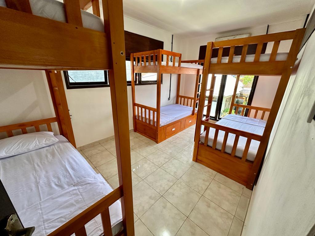 Cover Image for Rodin Bali Hostel
