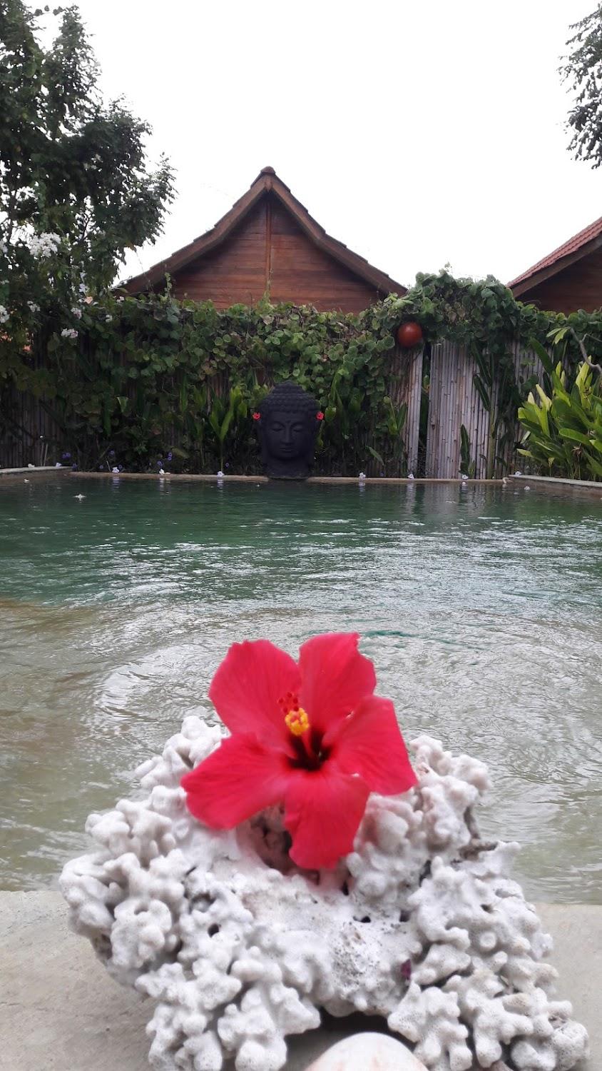 Cover Image for United colors of Gili