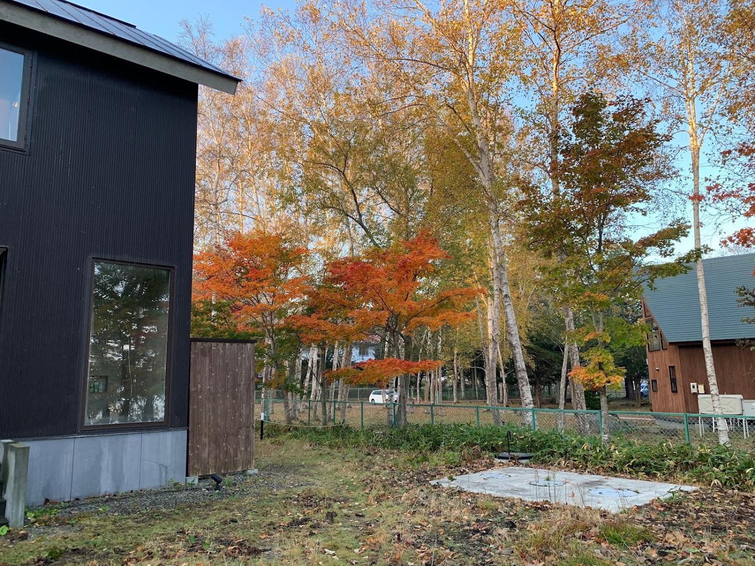 Cover Image for Wakkanupuri